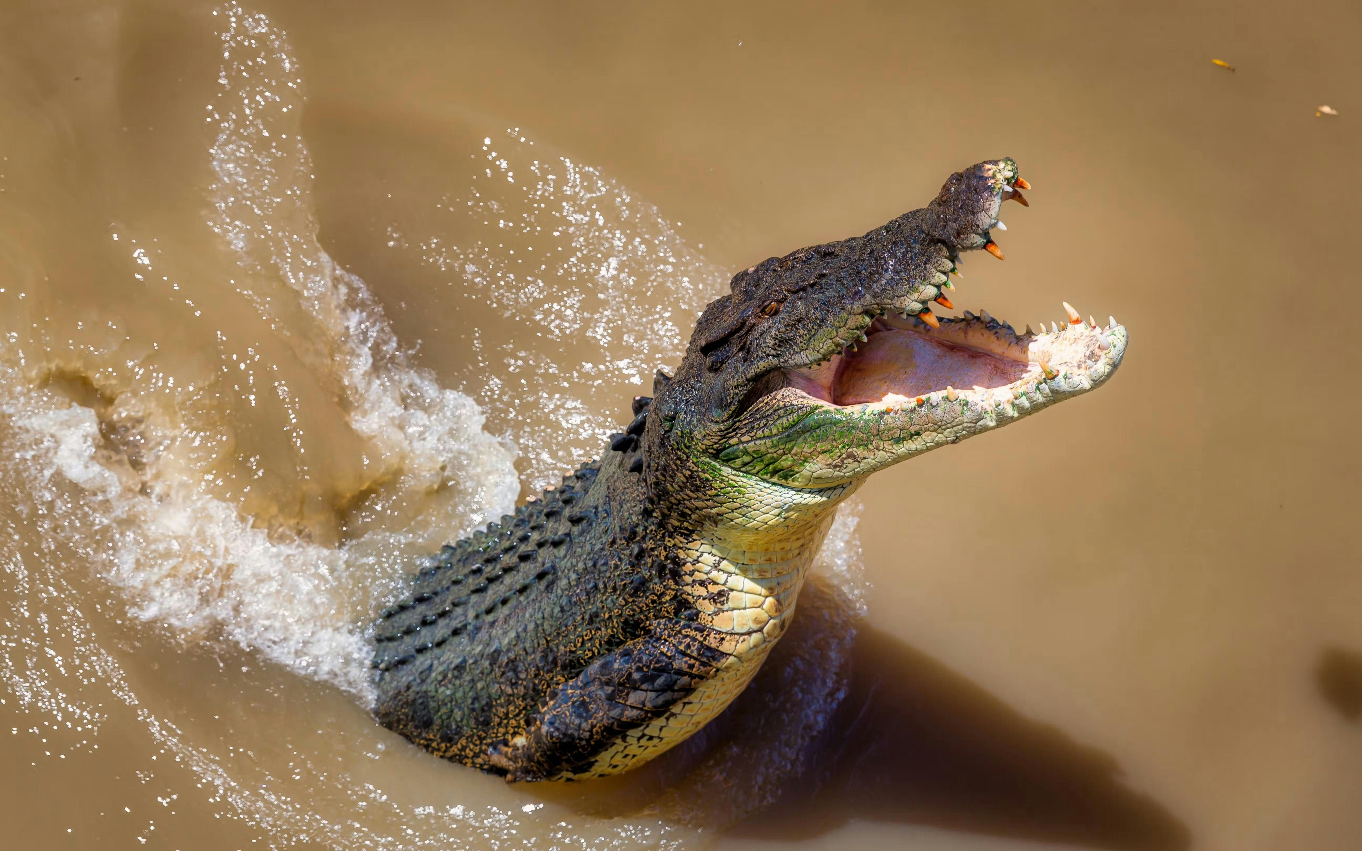 Kakadu National Park Day Tour from Darwin 