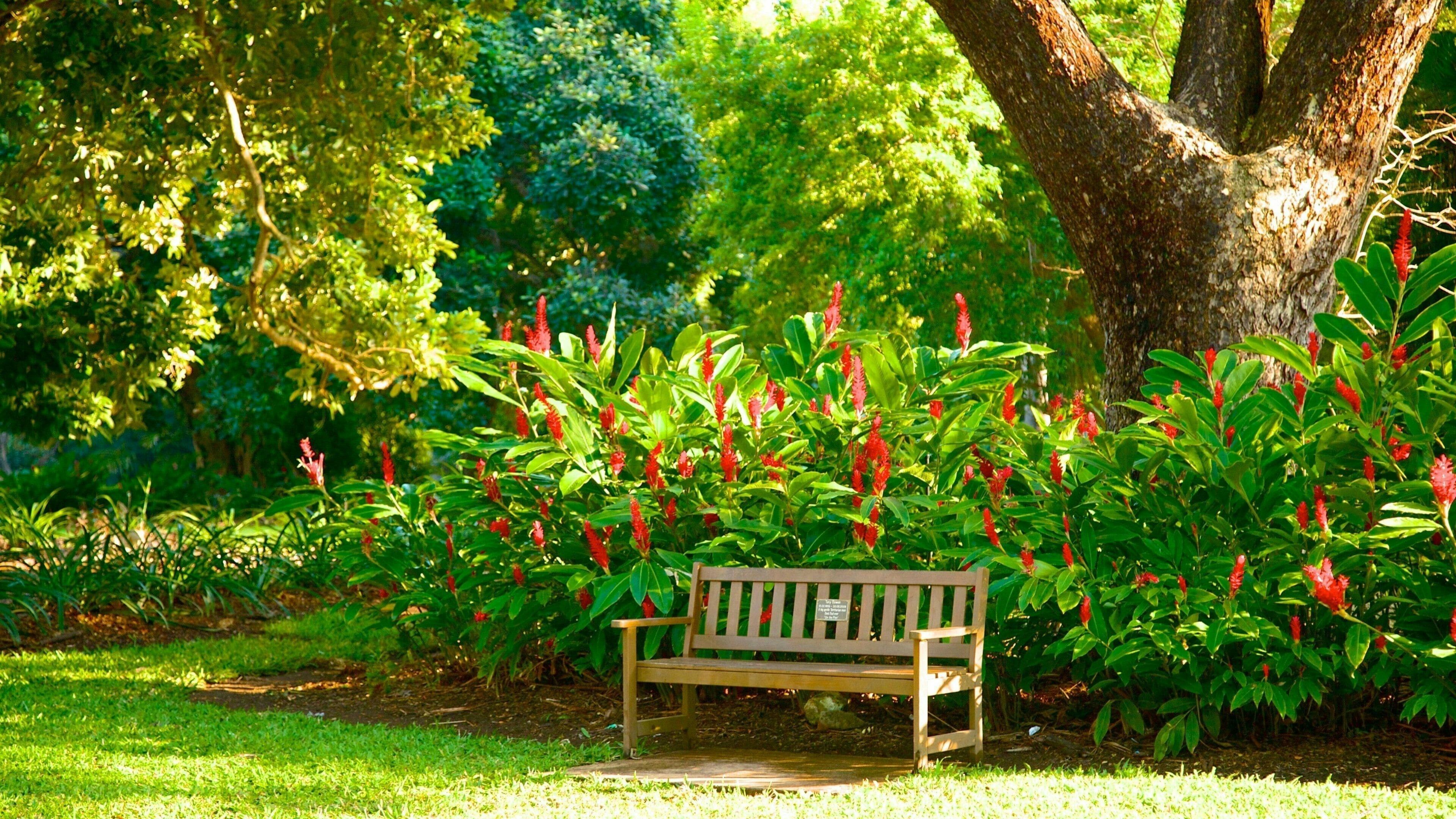 Darwin Museums and Botanic Garden Tour Ticket 