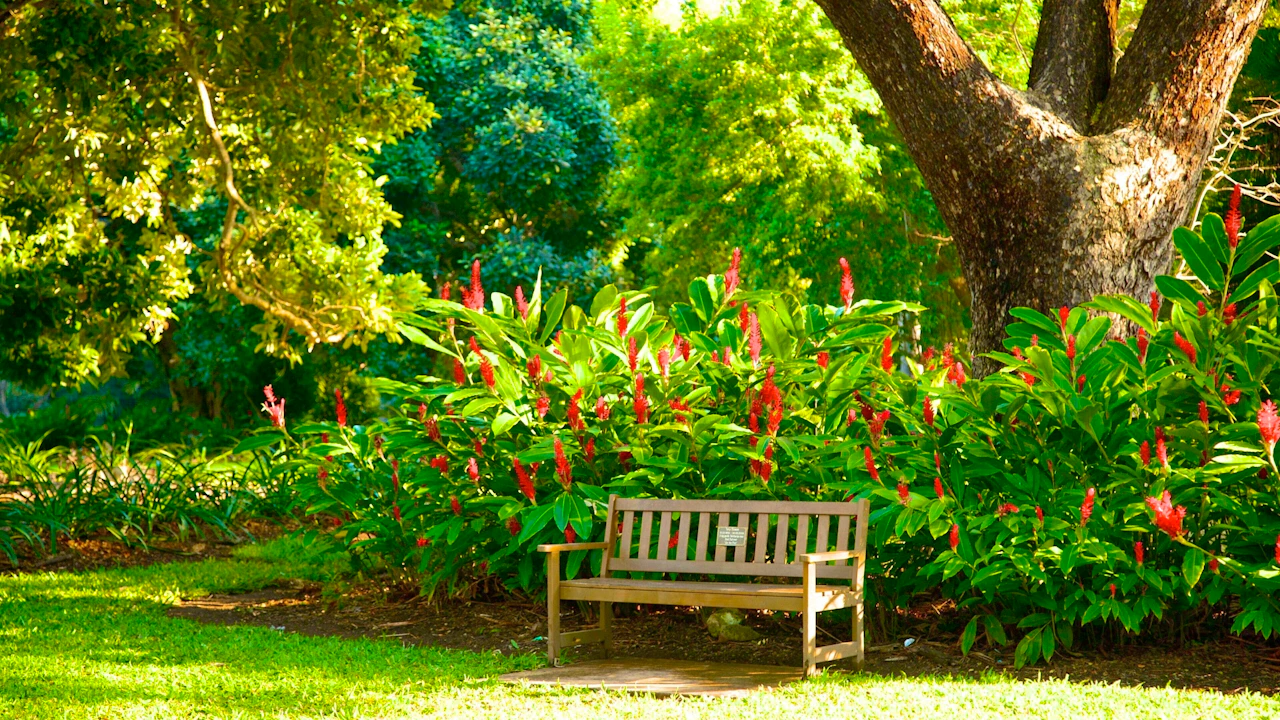 Darwin Museums and Botanic Garden Tour Ticket