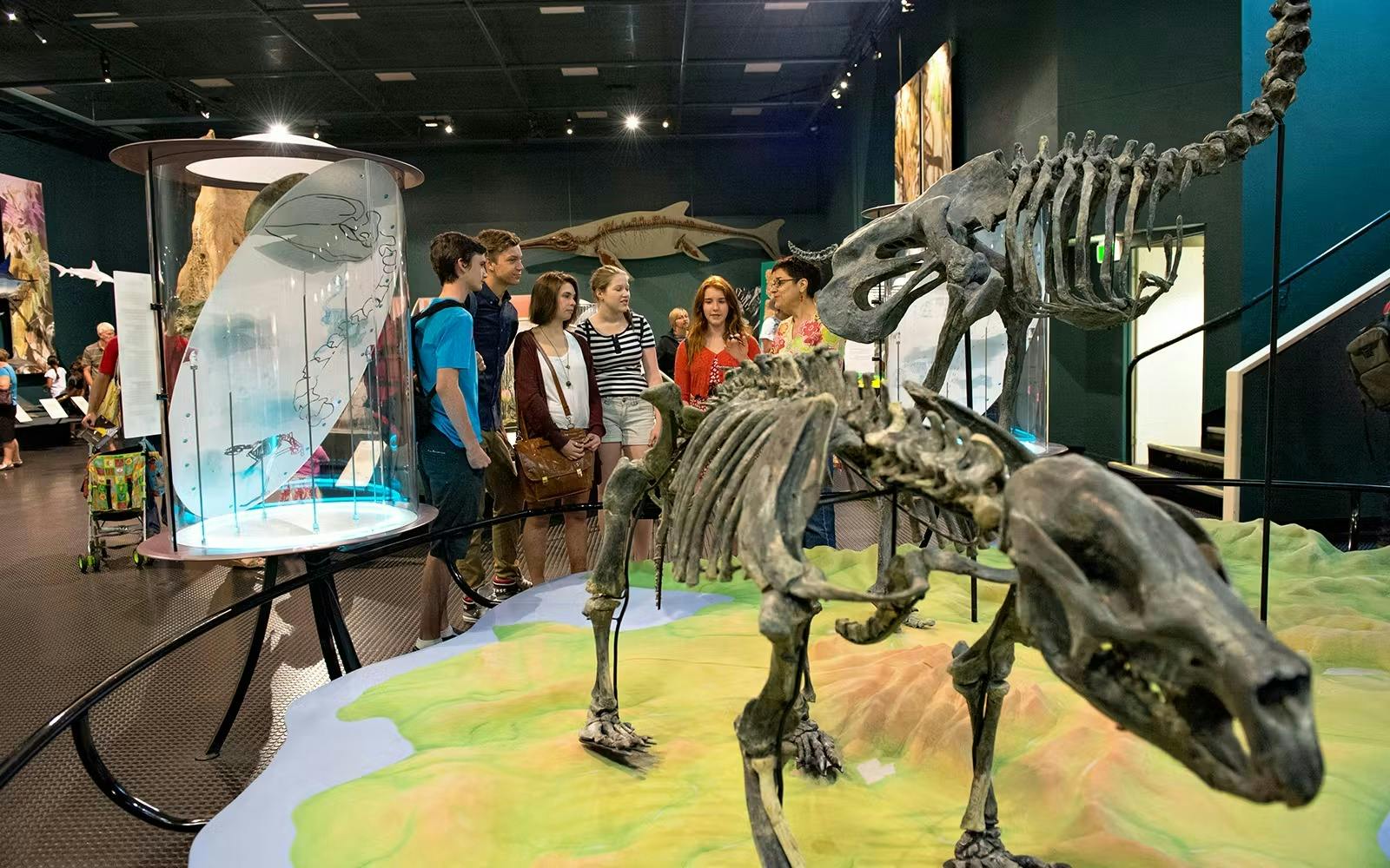 Darwin Museums and Botanic Garden Tour Ticket