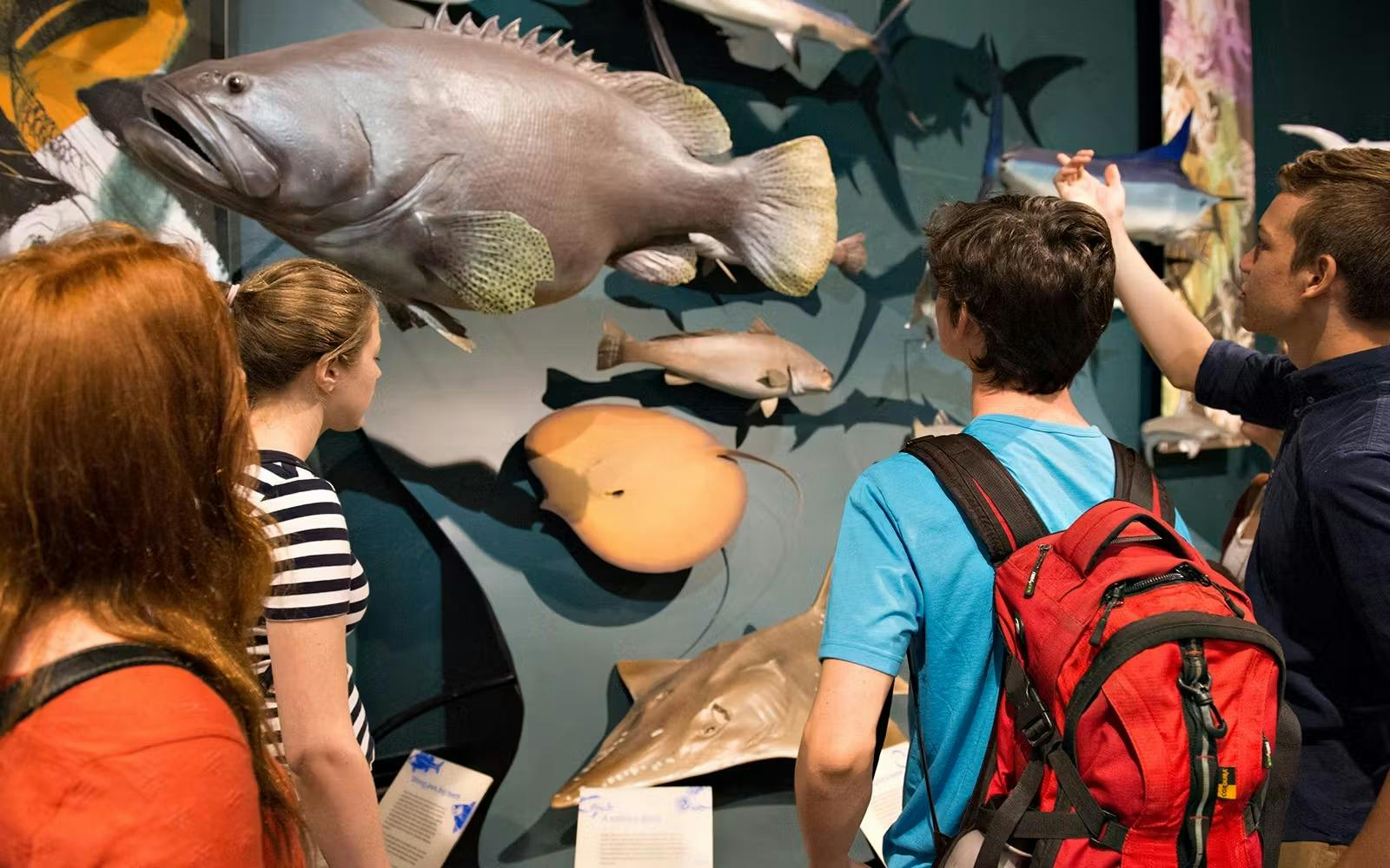Darwin Museums and Botanic Garden Tour Ticket Thrillark
