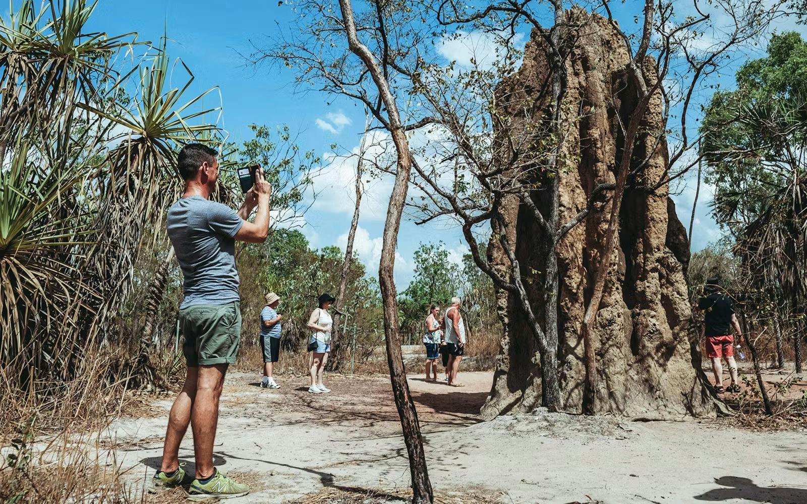 Litchfield National Park and Waterfalls Tour from Darwin Thrillark
