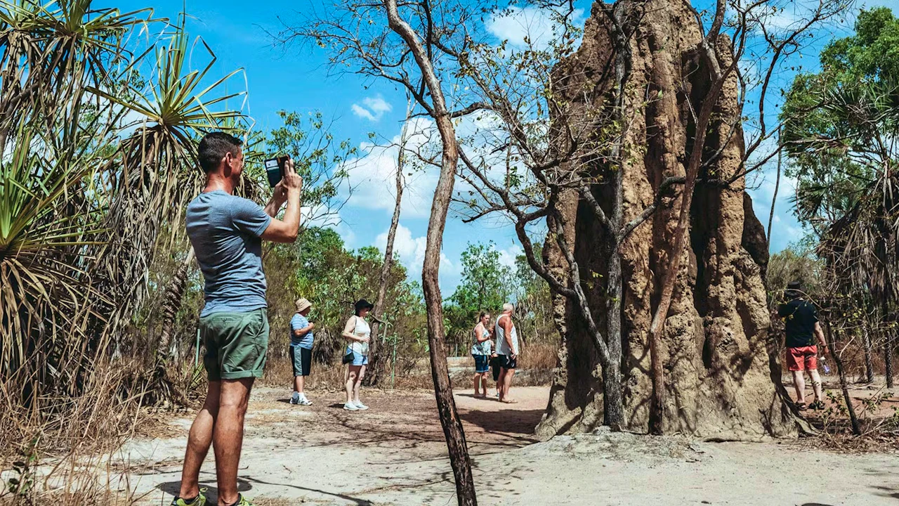 Litchfield National Park and Waterfalls Tour from Darwin Thrillark