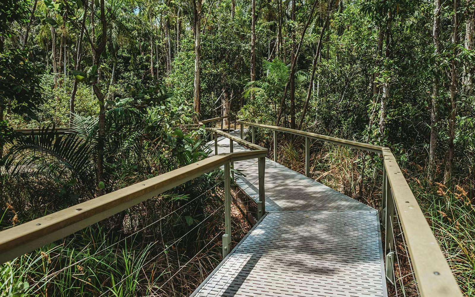 Litchfield National Park and Waterfalls Tour from Darwin Review