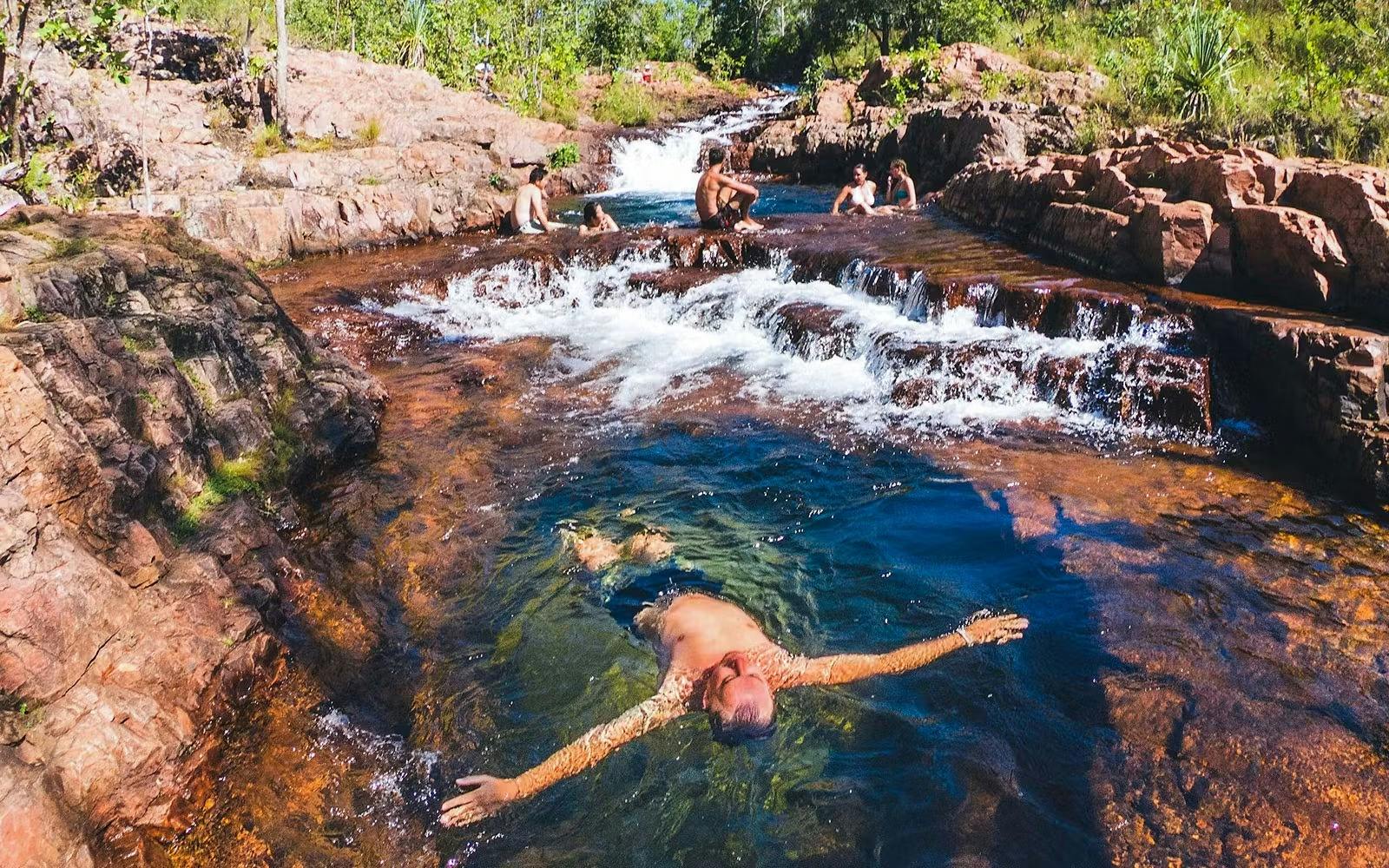 Litchfield National Park and Waterfalls Tour from Darwin Price
