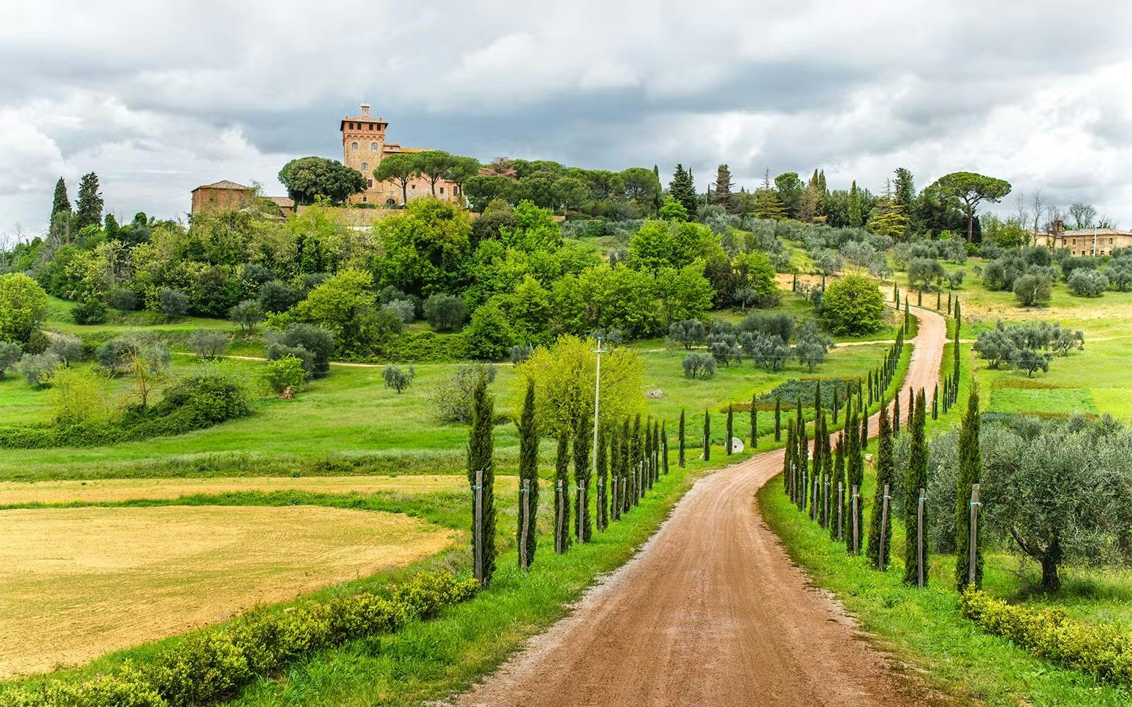 Tuscany Tour: Pisa, Chianti, San Gimignano & Siena Discount