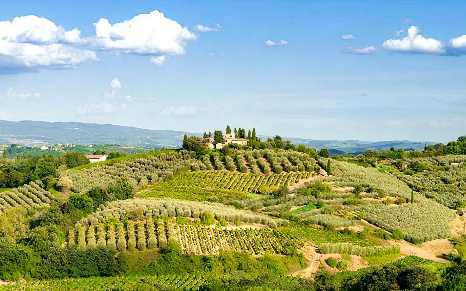 Tuscany Tour: Pisa, Chianti, San Gimignano & Siena Thrillark