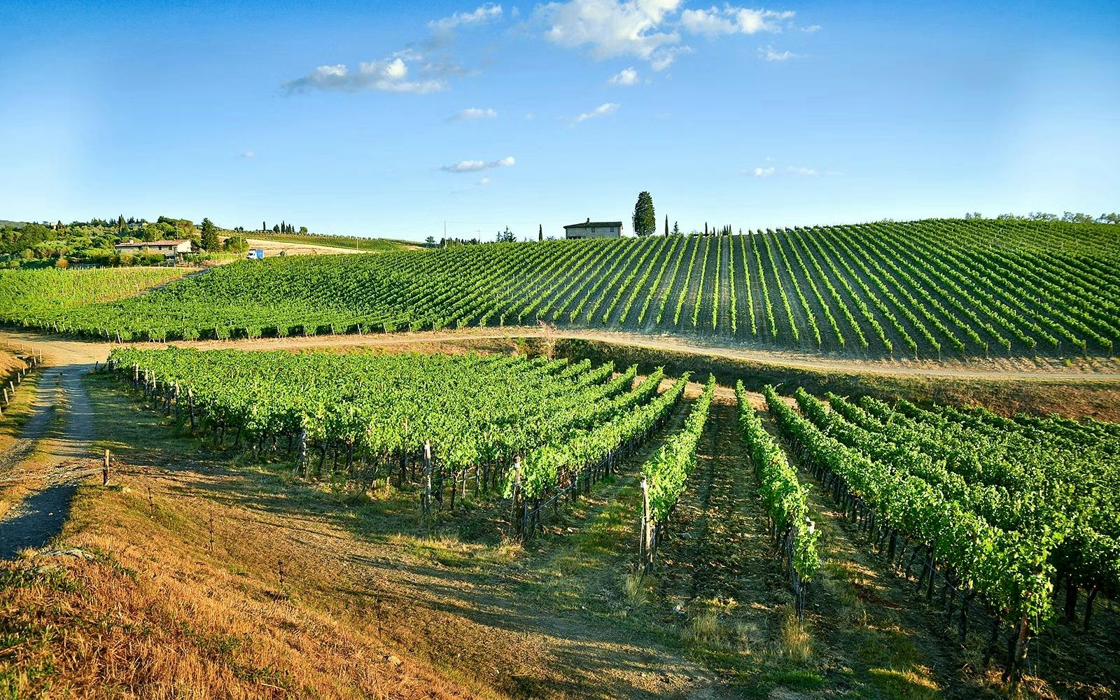Medieval Tuscany Tour: Monteriggioni, Montalcino & Pienza Review