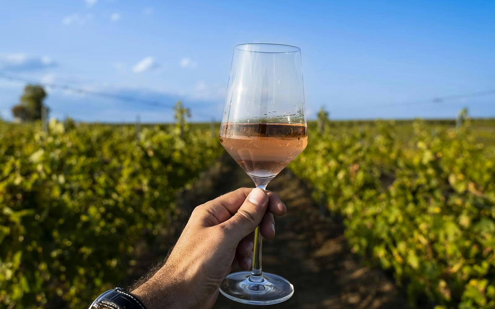 Medieval Tuscany Tour: Monteriggioni, Montalcino & Pienza Category