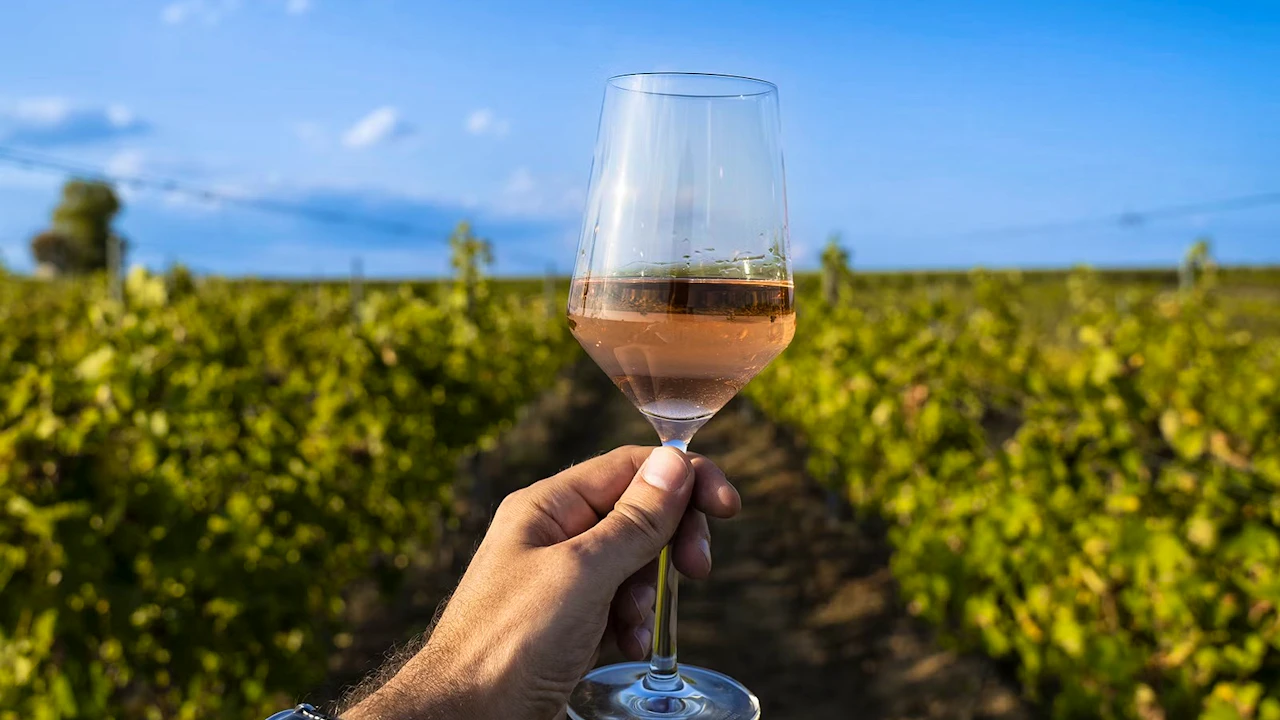 Medieval Tuscany Tour: Monteriggioni, Montalcino & Pienza Category
