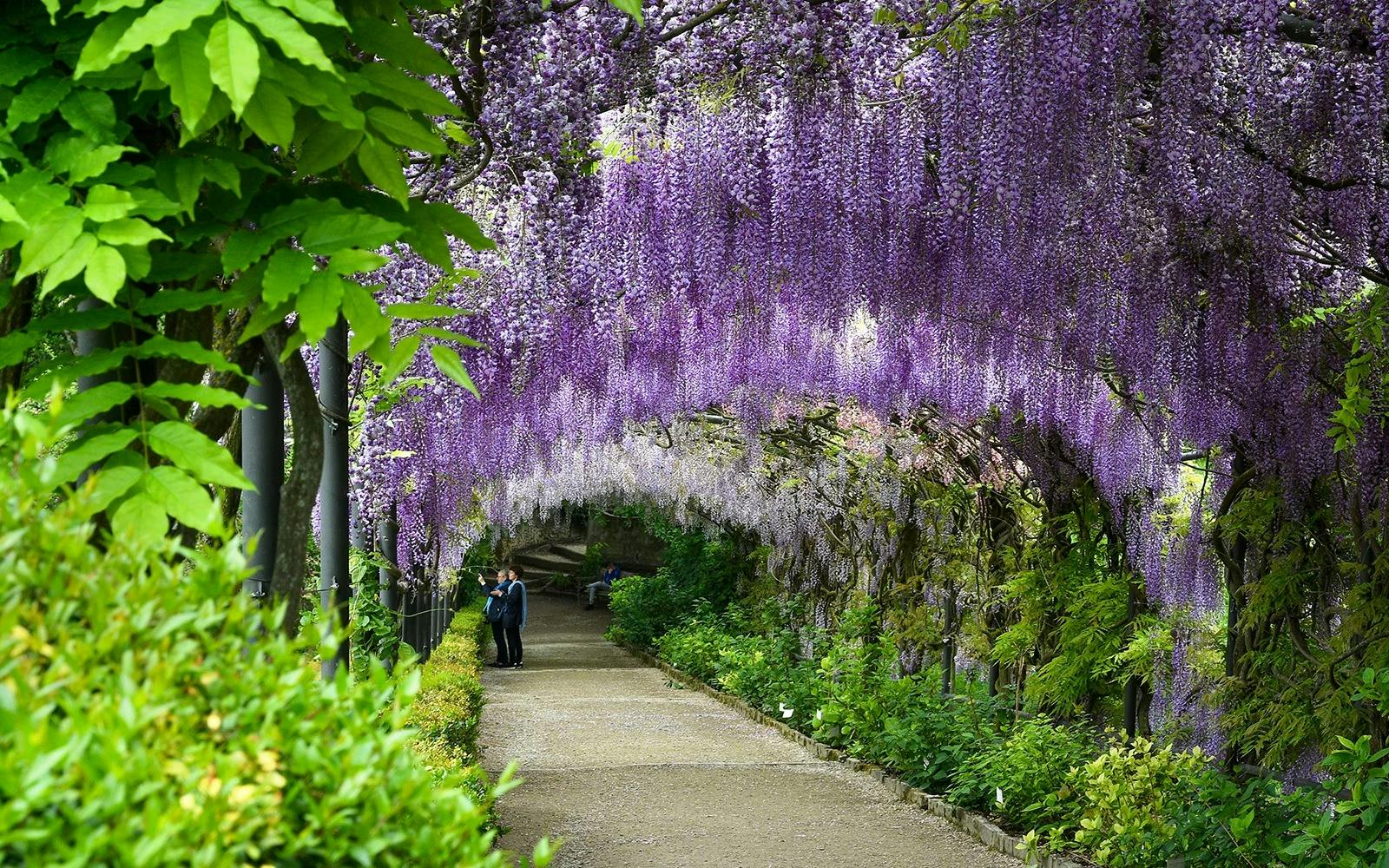 Boboli Gardens Guided Tour & Pitti Palace Entry Ticket Thrillark