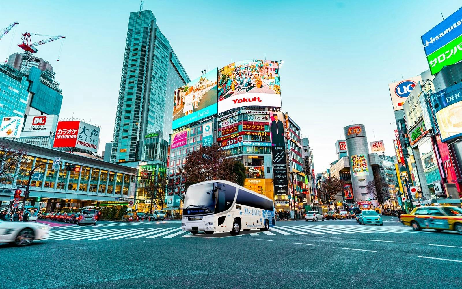 Tokyo to Mt. Fuji Highway Bus Ticket Category