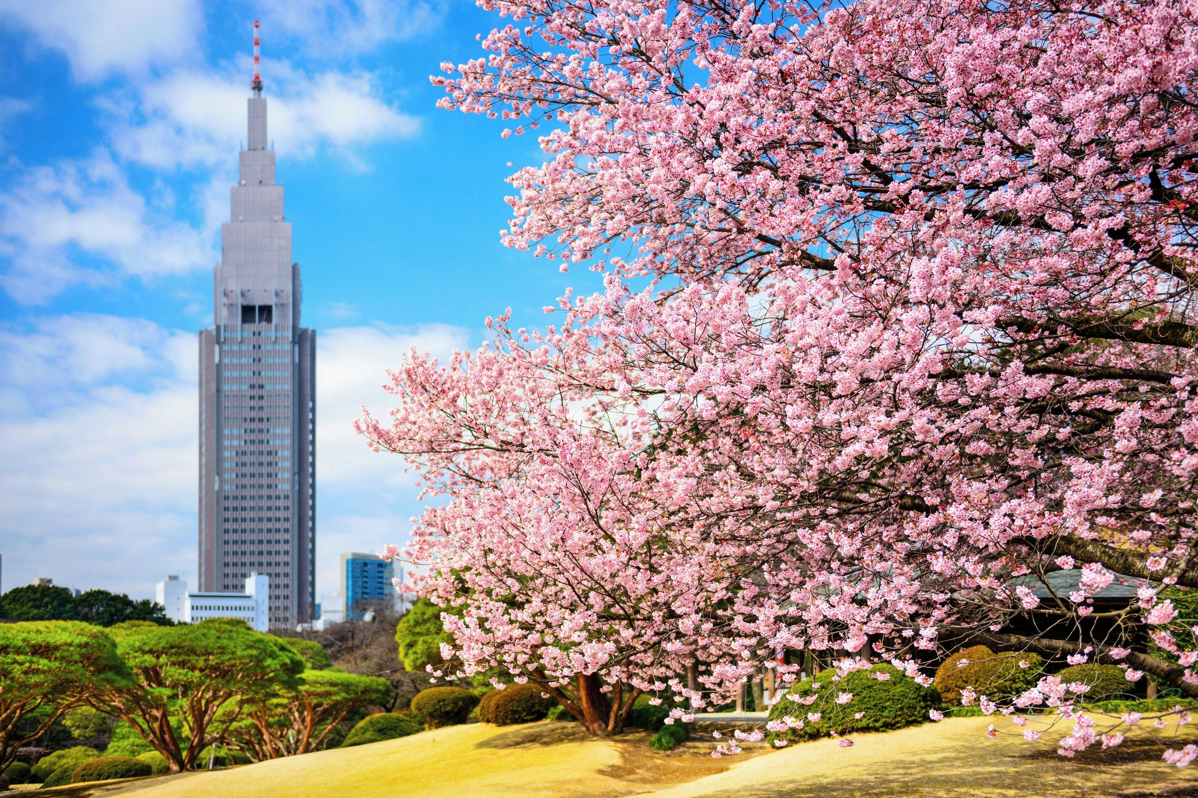 Shinjuku Gyoen National Garden Ticket Location
