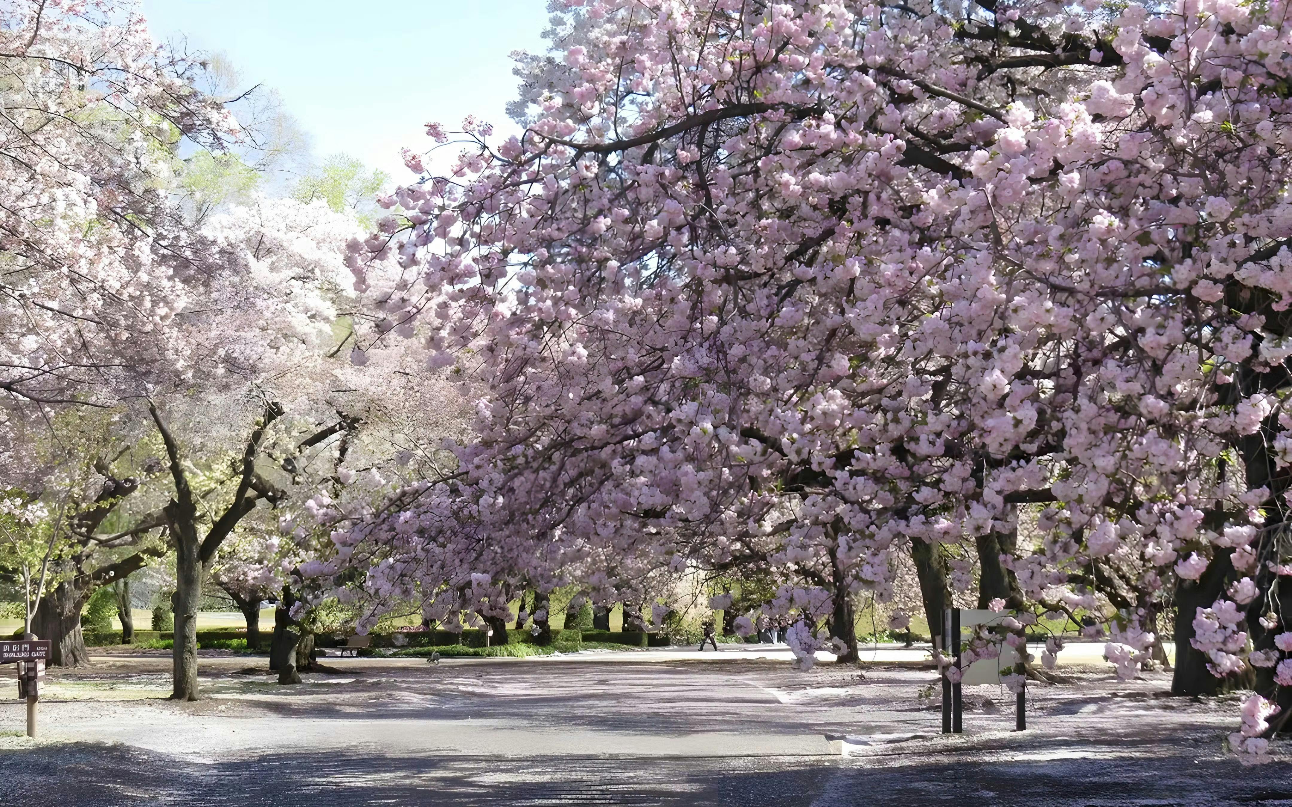 Shinjuku Gyoen National Garden Ticket