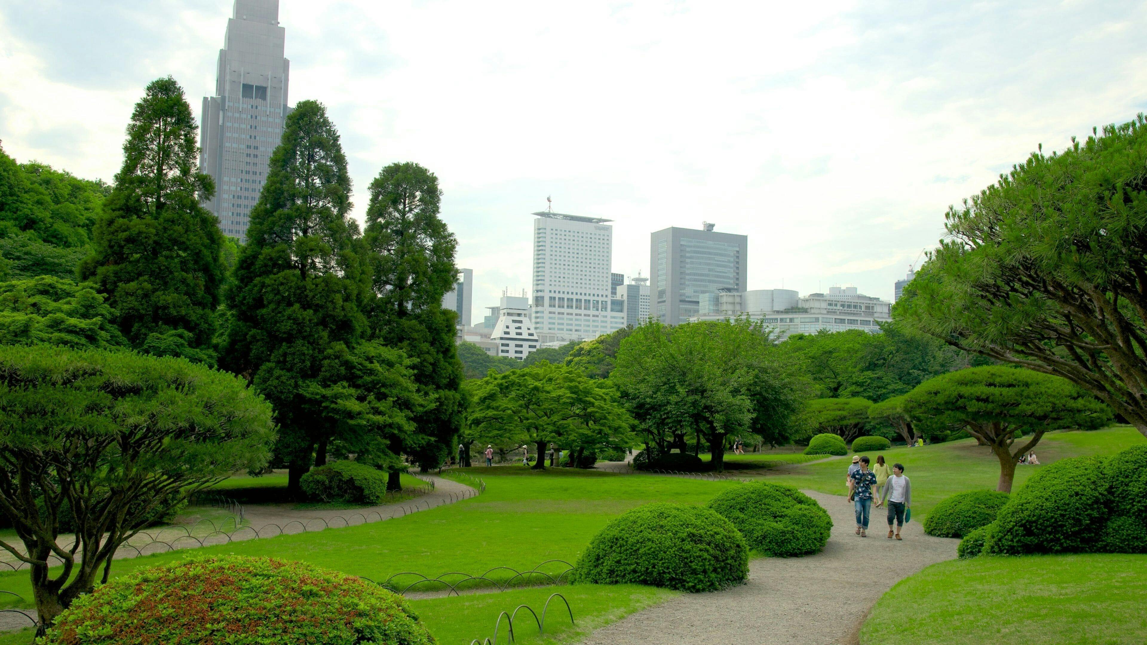 Shinjuku Gyoen National Garden Ticket Review