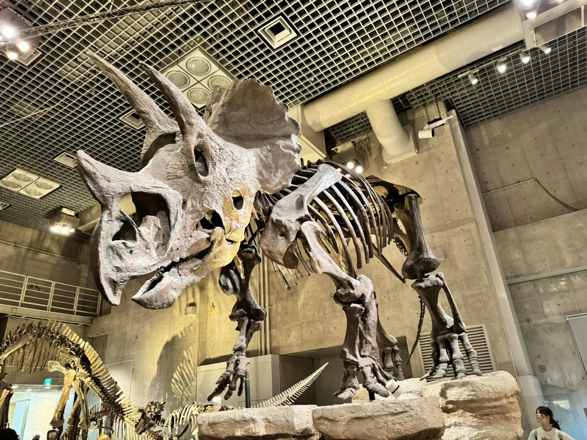 National Museum of Nature and Science Ticket Thrillark