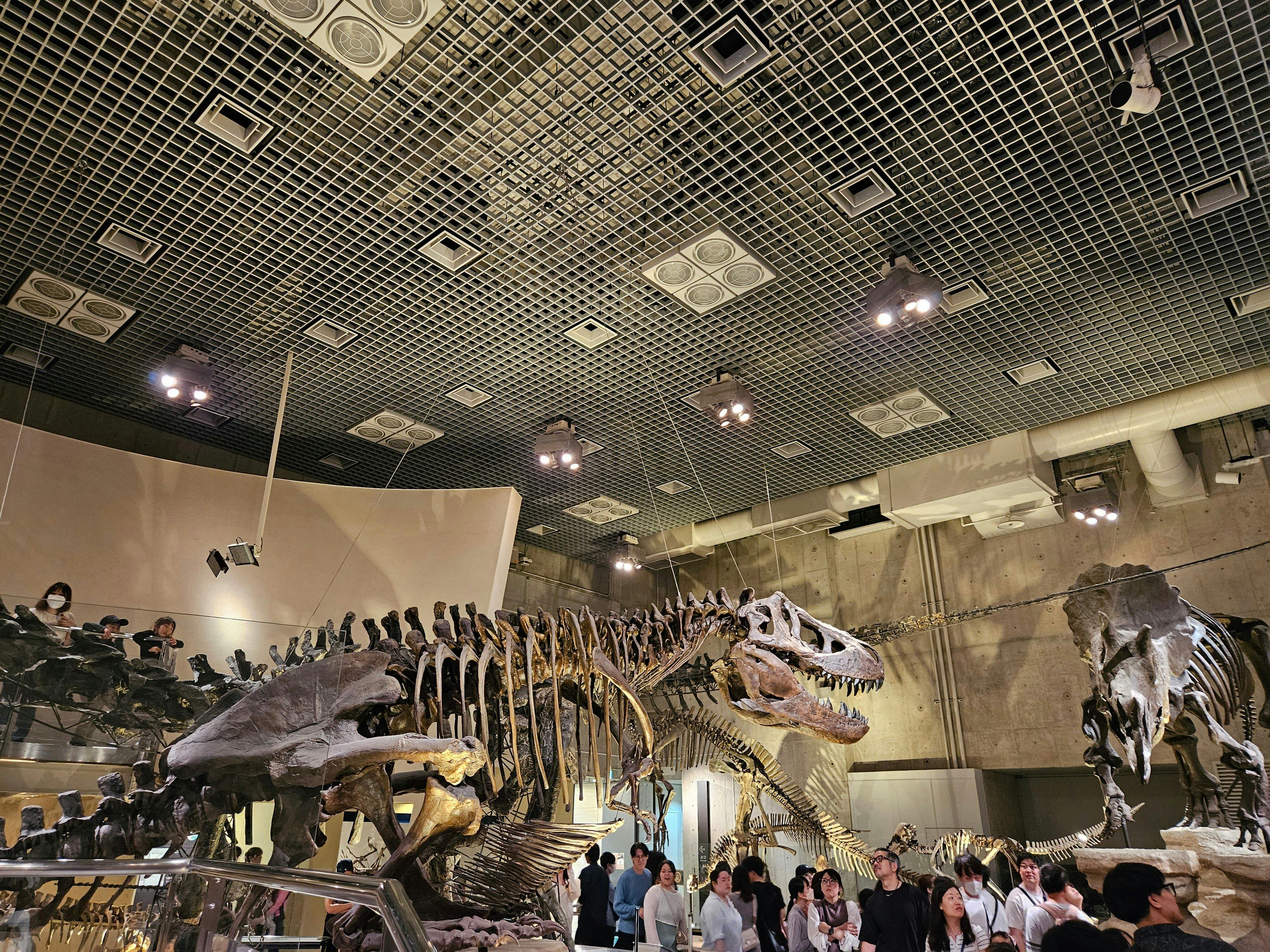 National Museum of Nature and Science Ticket Review