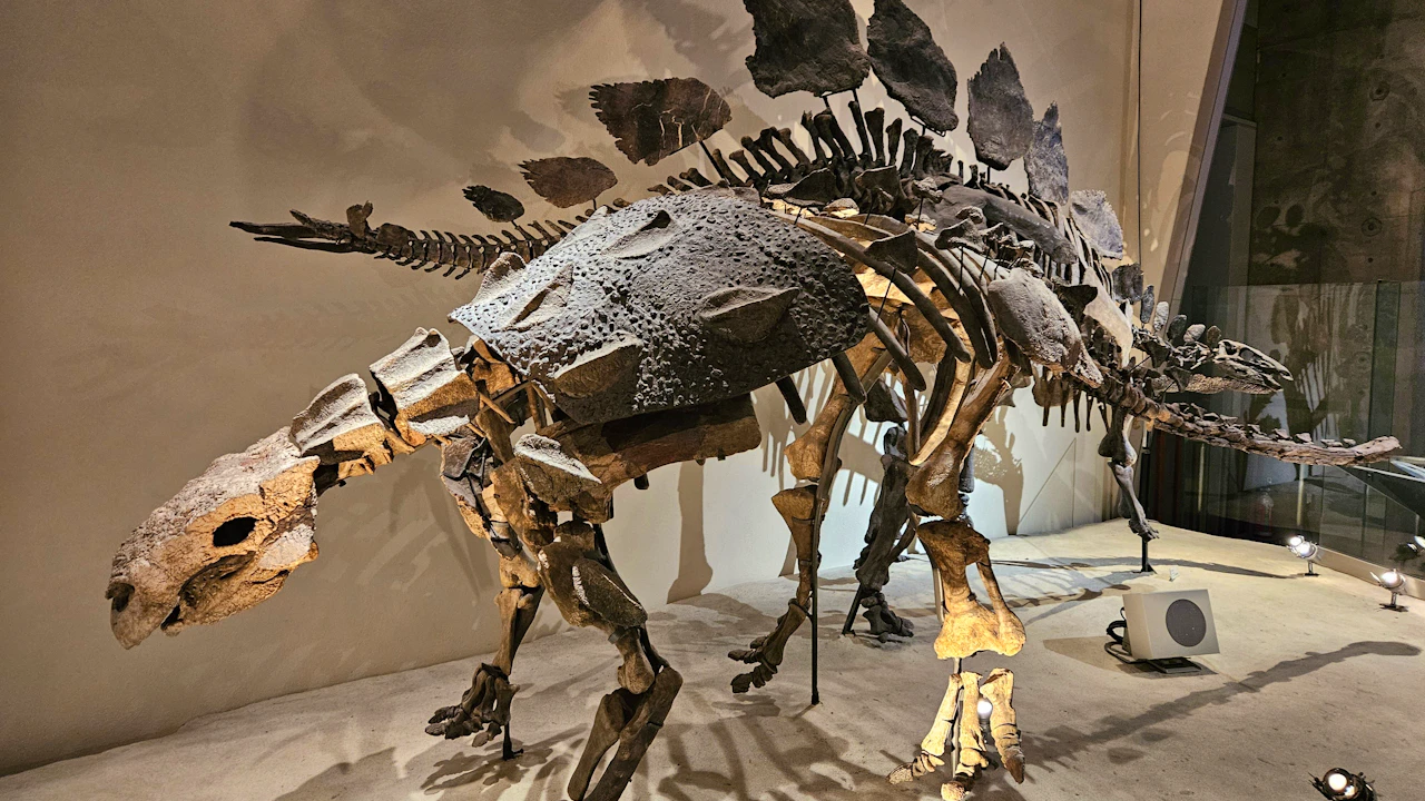 National Museum of Nature and Science Ticket