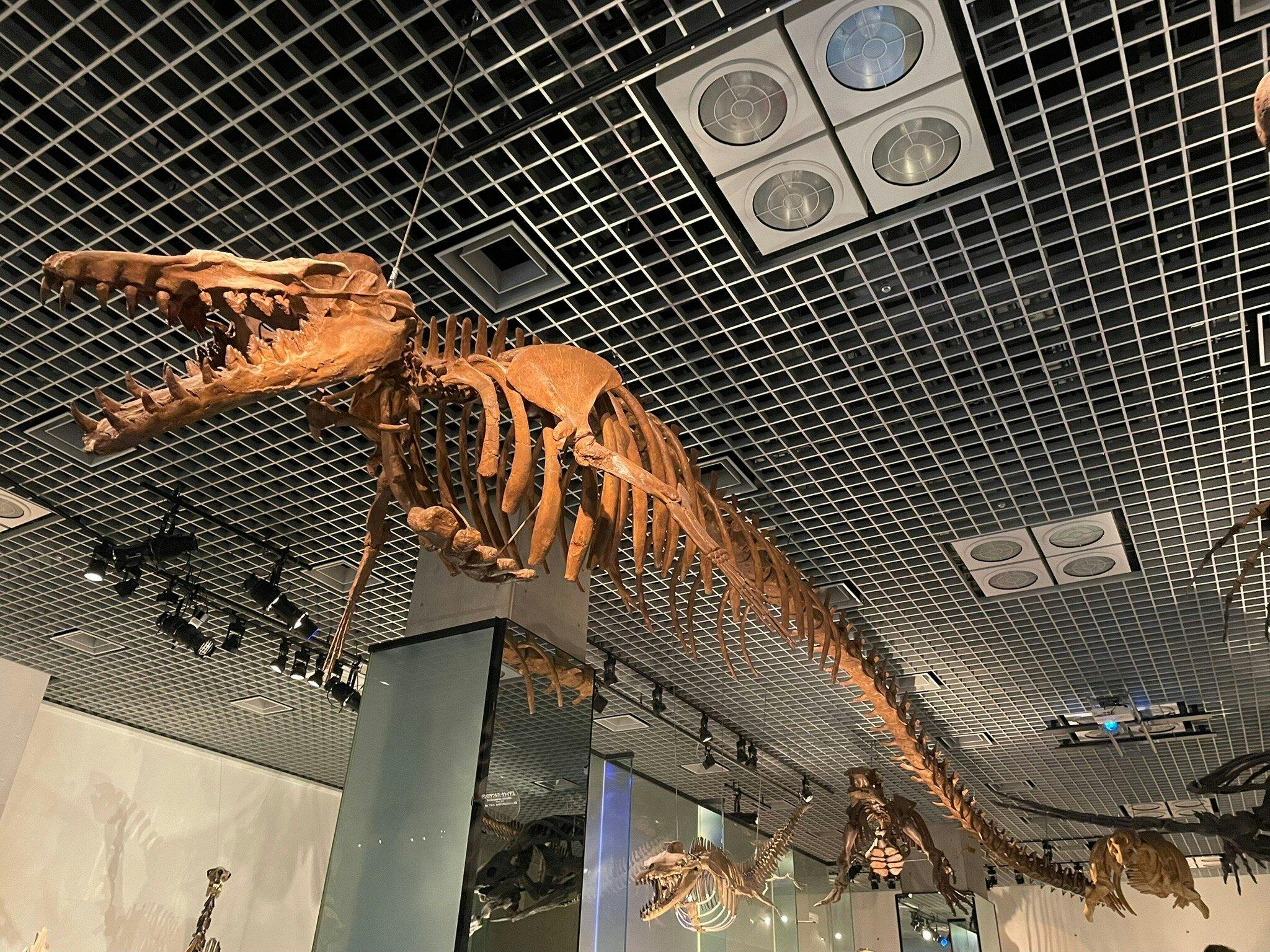National Museum of Nature and Science Ticket Discount