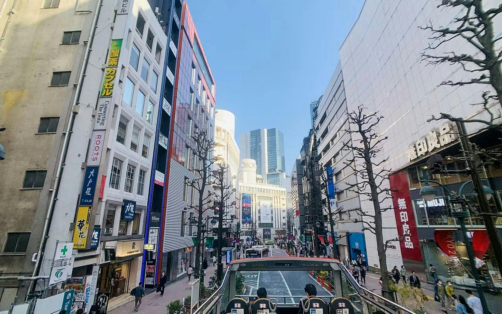 Sky Hop Bus: Tokyo Sightseeing Bus Tour 