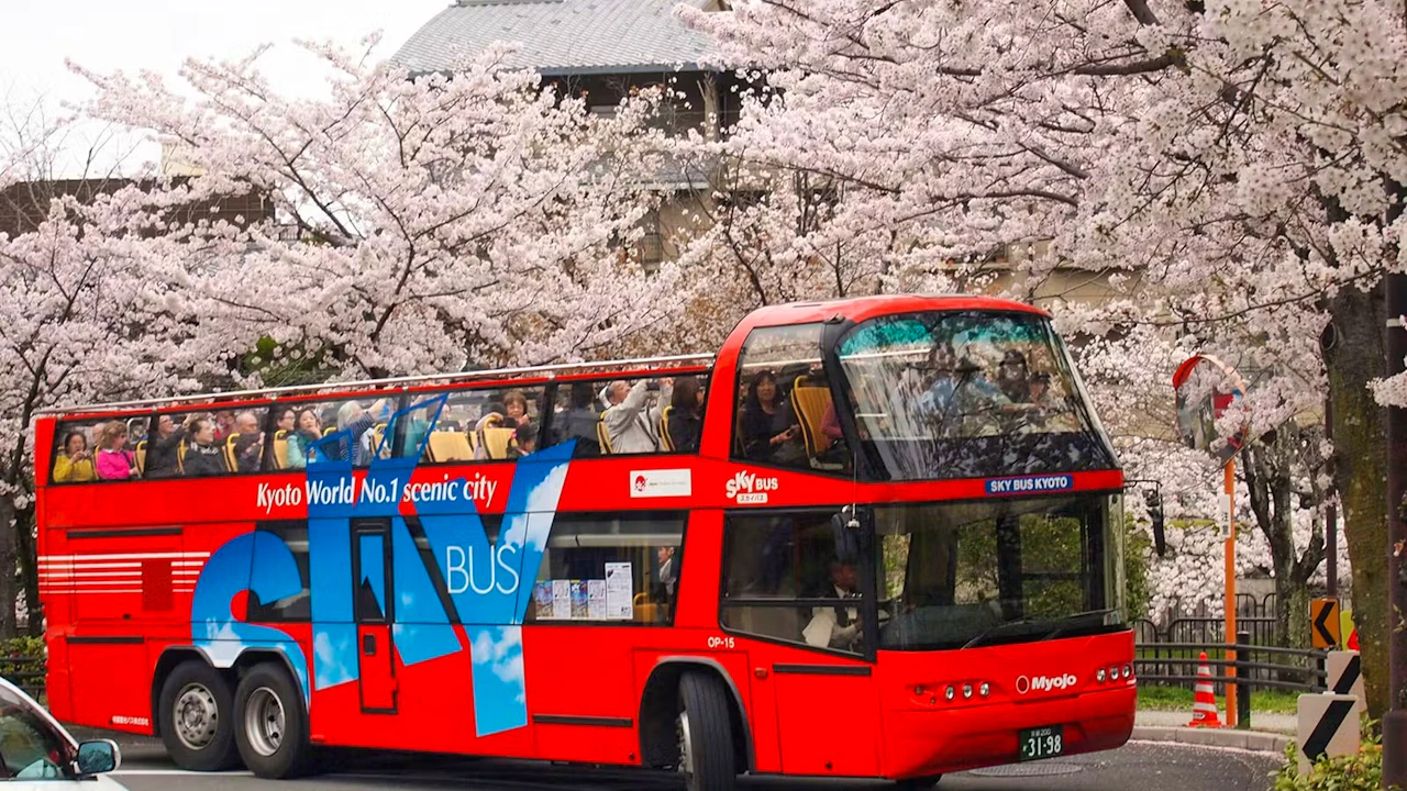 Sky Hop Bus: Tokyo Sightseeing Bus Tour Discount
