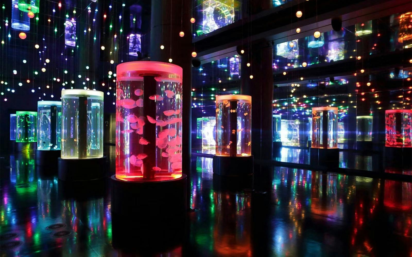 Shinagawa Aquarium Ticket Discount