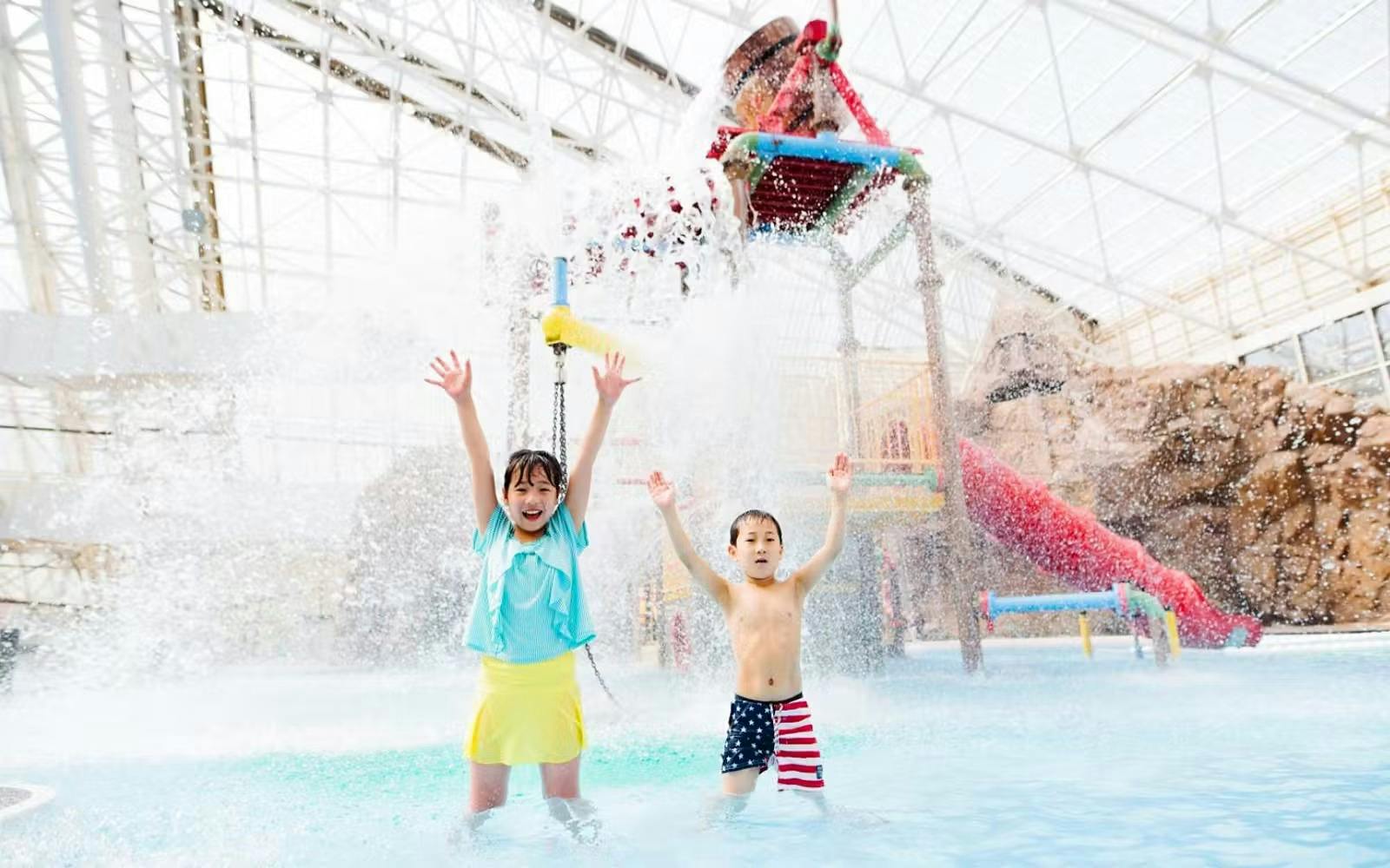 Tokyo Summerland Ticket Category