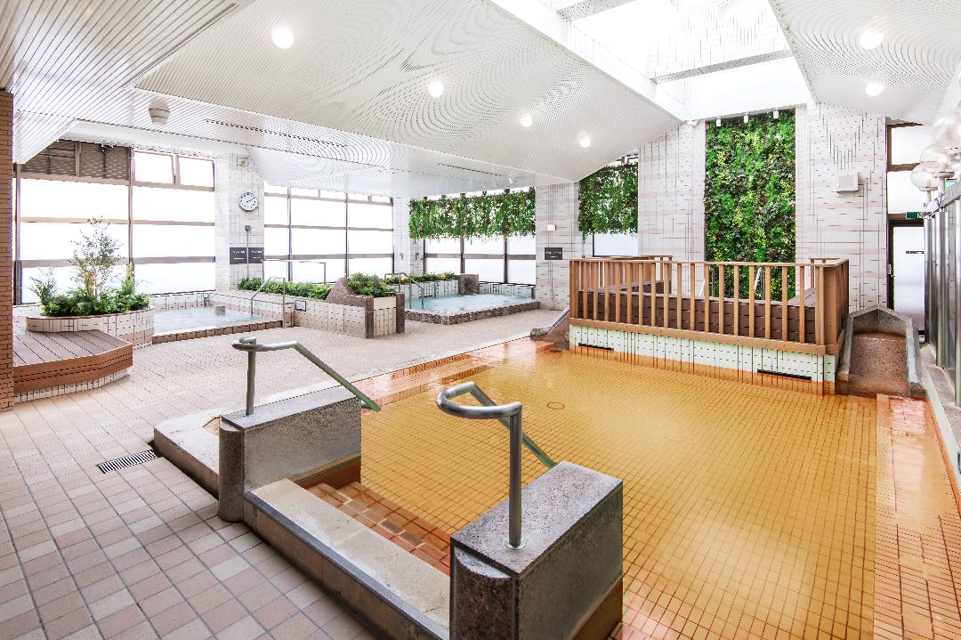 Natural Hot Spring Heiwajima Tokyo Ticket Discount
