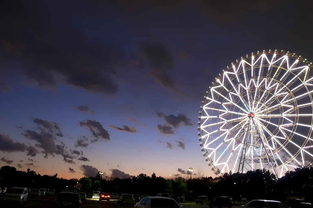 Diamond and Flower Ferris Wheel Ticket