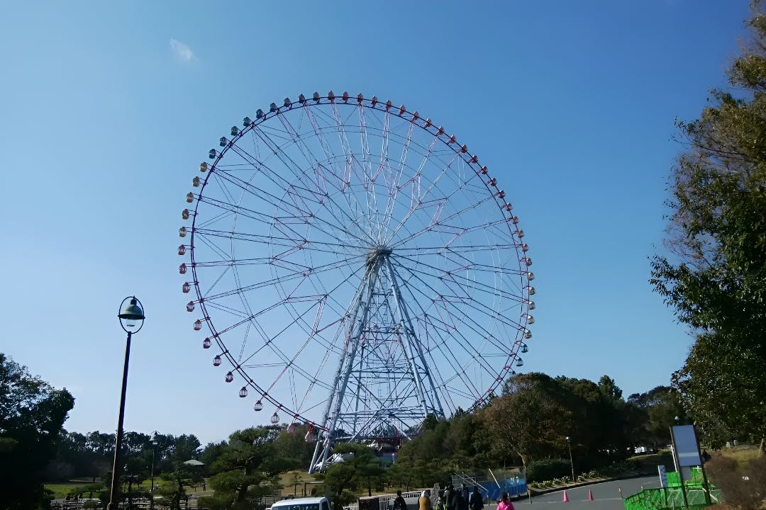 Diamond and Flower Ferris Wheel Ticket Price