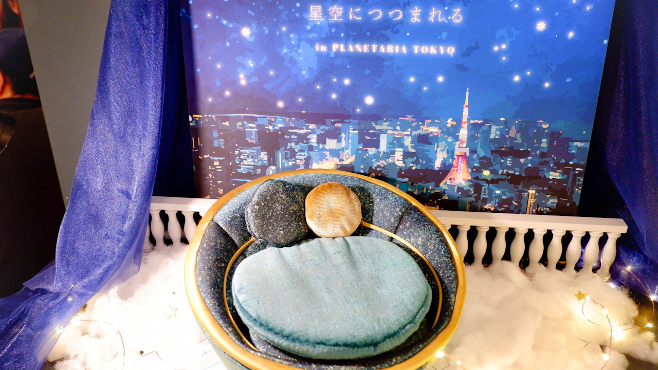 Konica Minolta Planetaria Tokyo Ticket Review