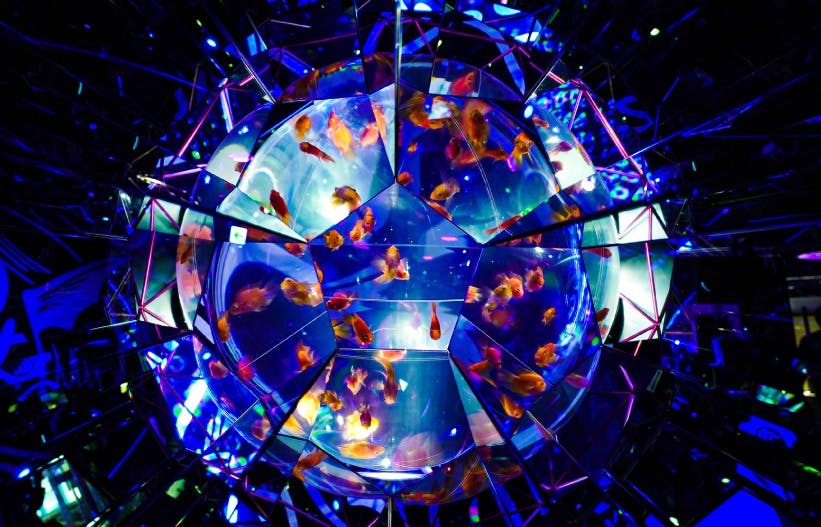 UWS Aquarium GAKYO Ticket Thrillark