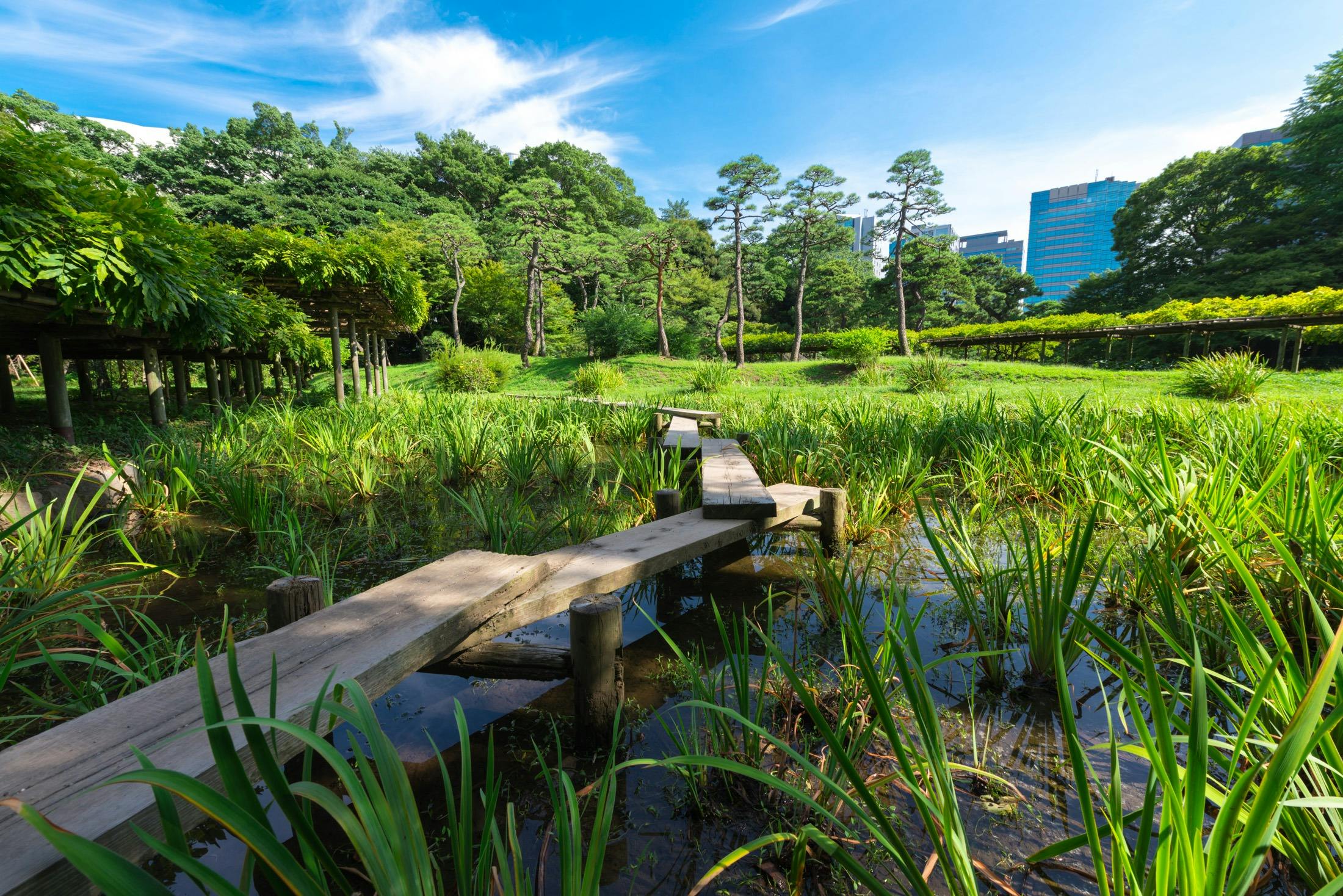 Koishikawa Korakuen Garden Ticket Thrillark