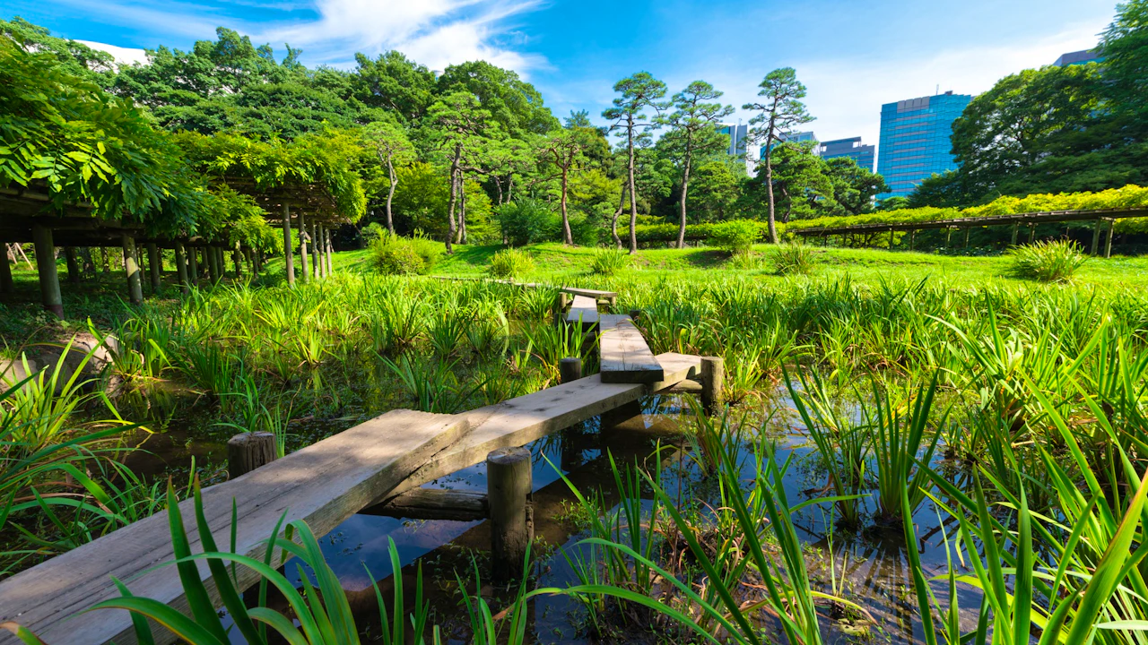Koishikawa Korakuen Garden Ticket Thrillark