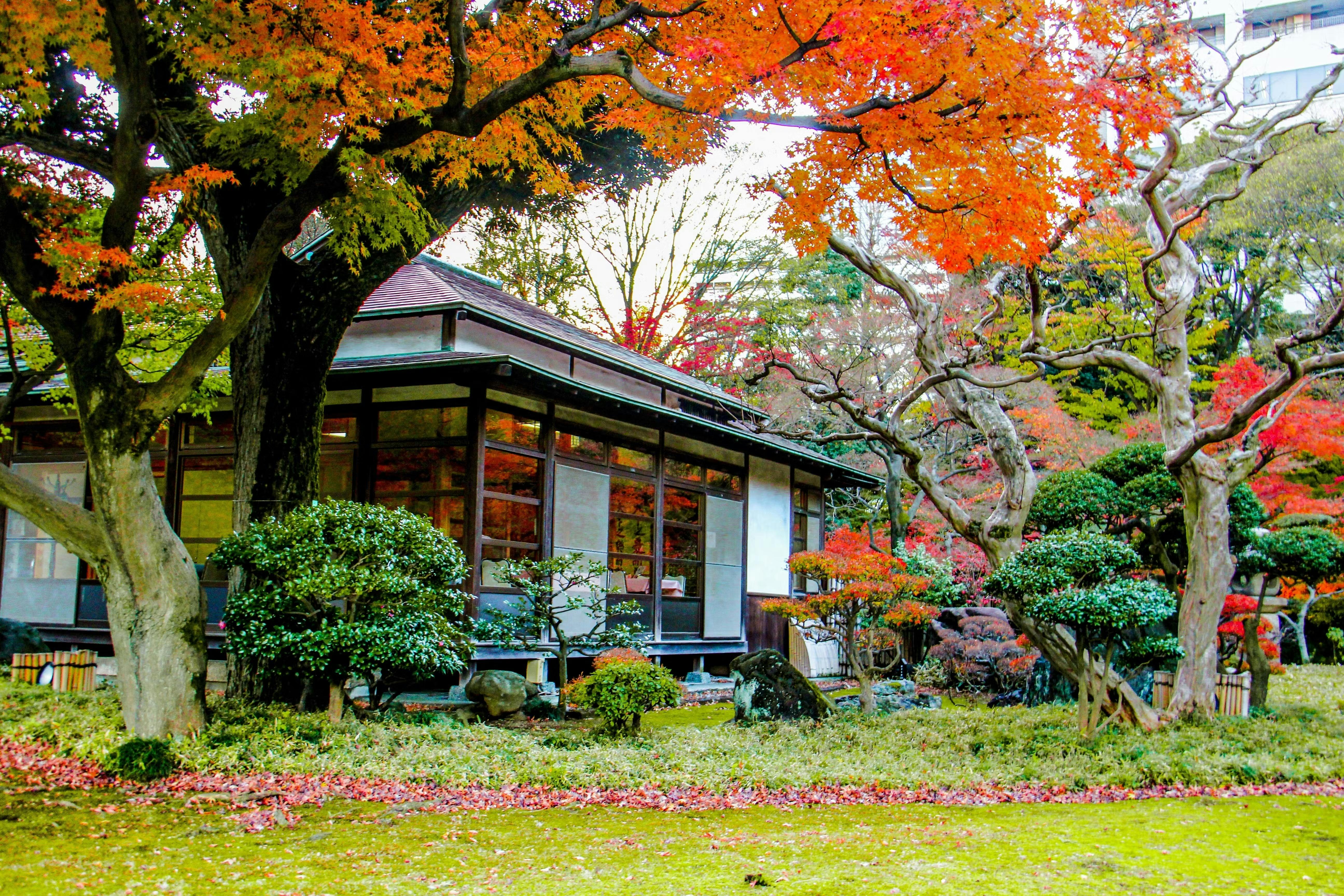 Koishikawa Korakuen Garden Ticket 