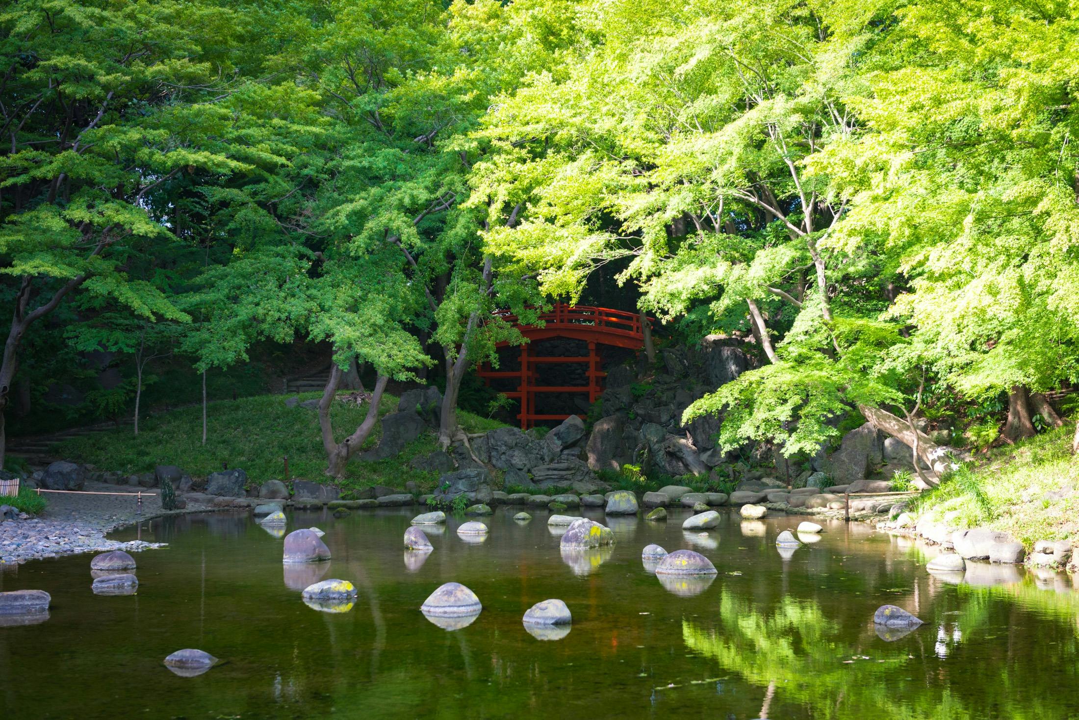 Koishikawa Korakuen Garden Ticket 