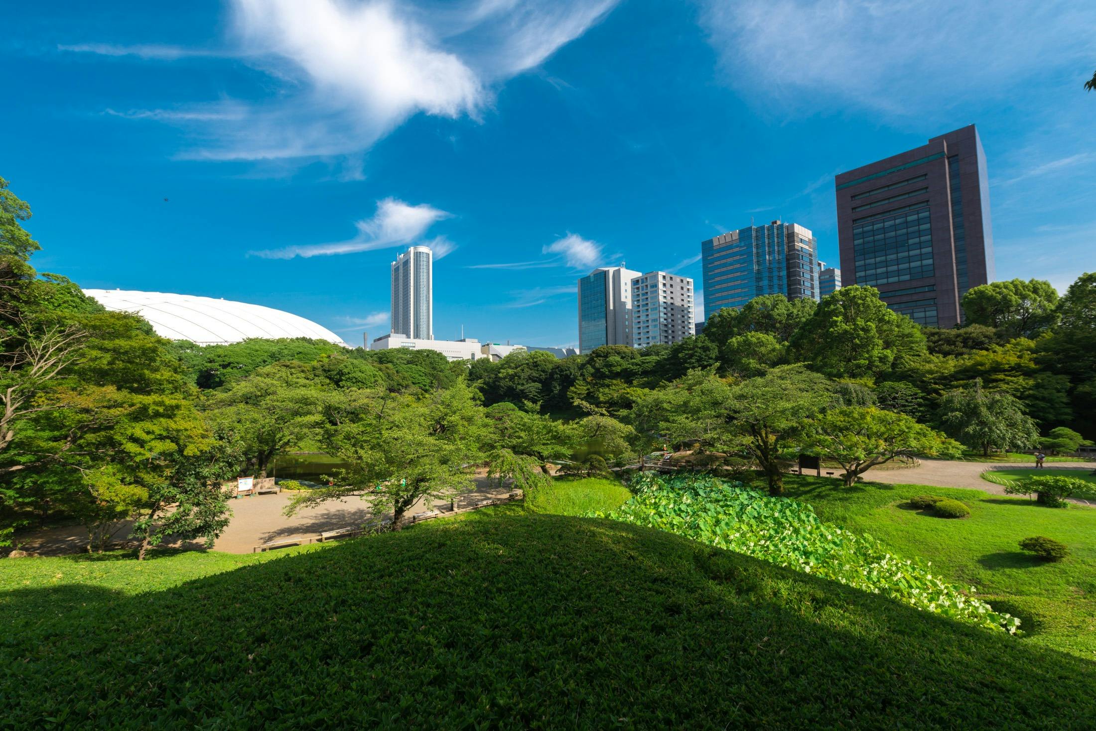 Koishikawa Korakuen Garden Ticket Review