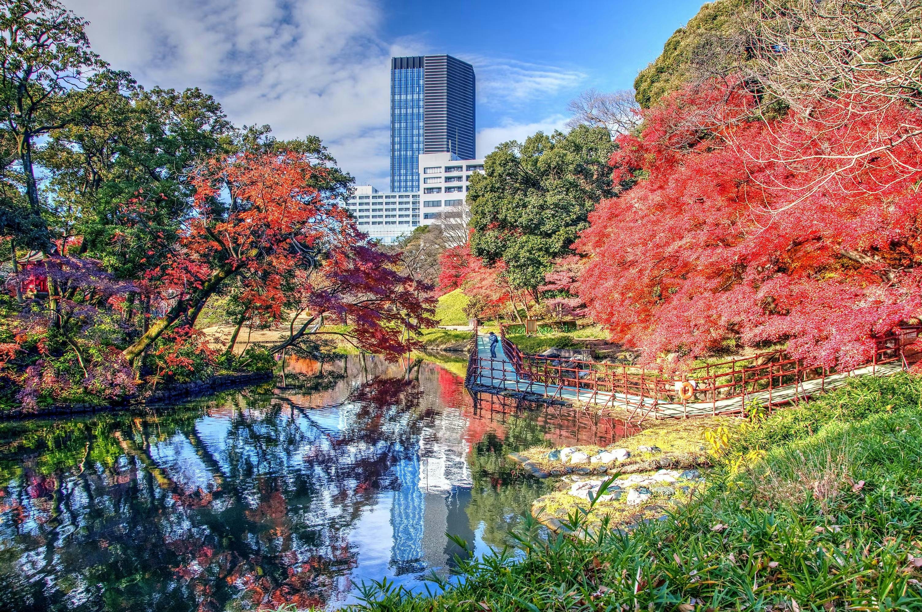 Koishikawa Korakuen Garden Ticket Price