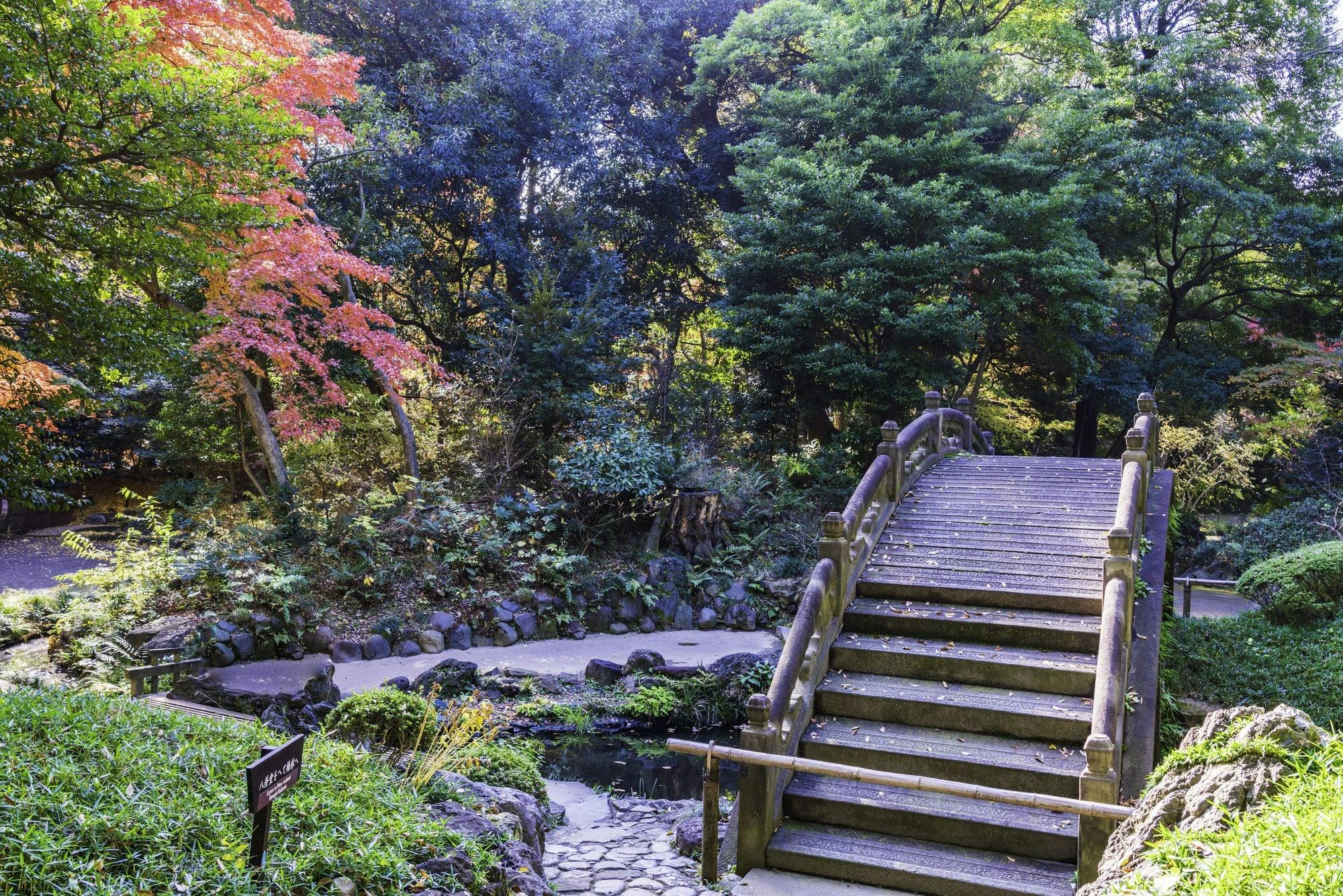 Koishikawa Korakuen Garden Ticket 