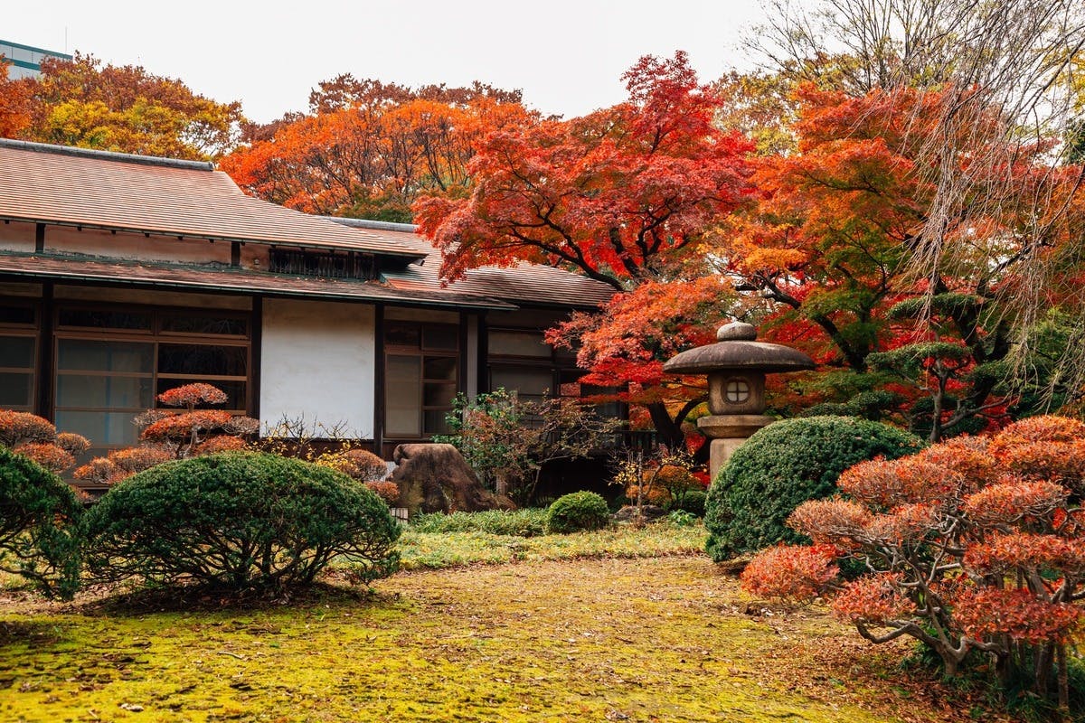 Koishikawa Korakuen Garden Ticket