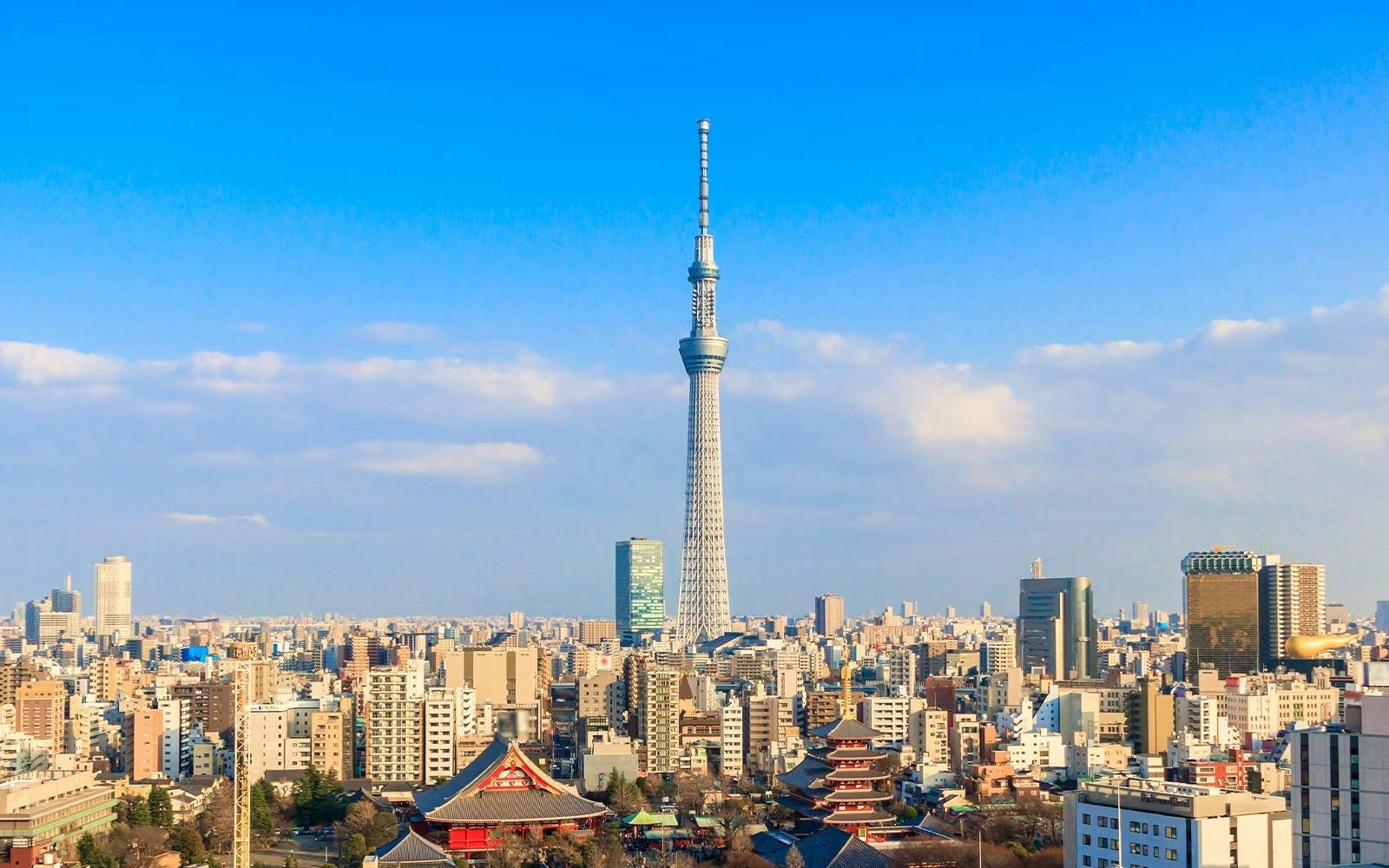 Have Fun in Tokyo Pass Category