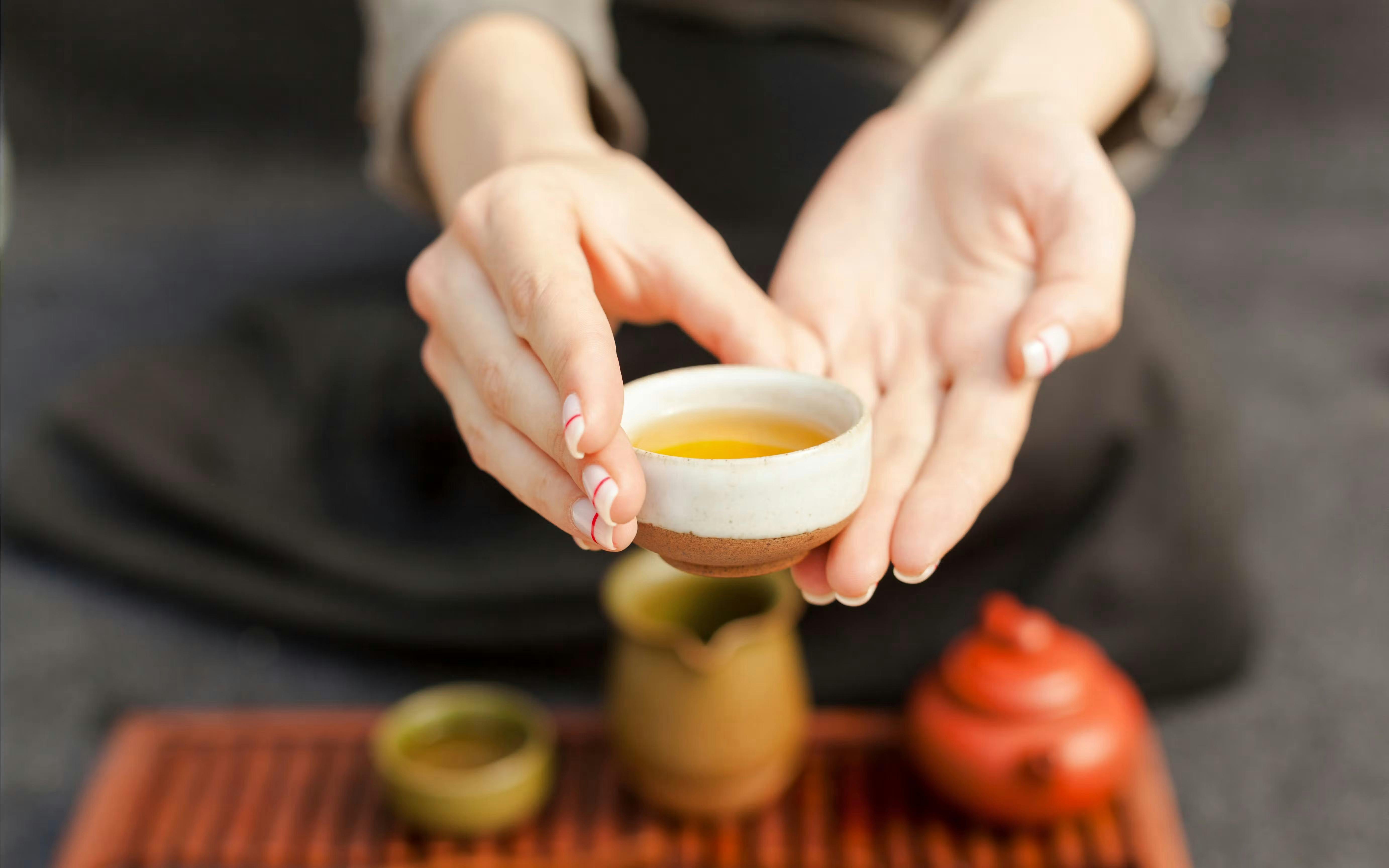 Nerikiri Wagashi-Making & Tea Ceremony Experience Ticket Ticket