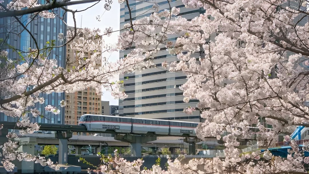 Tokyo Monorail: Haneda Airport to Hamamatsucho Ticket Price