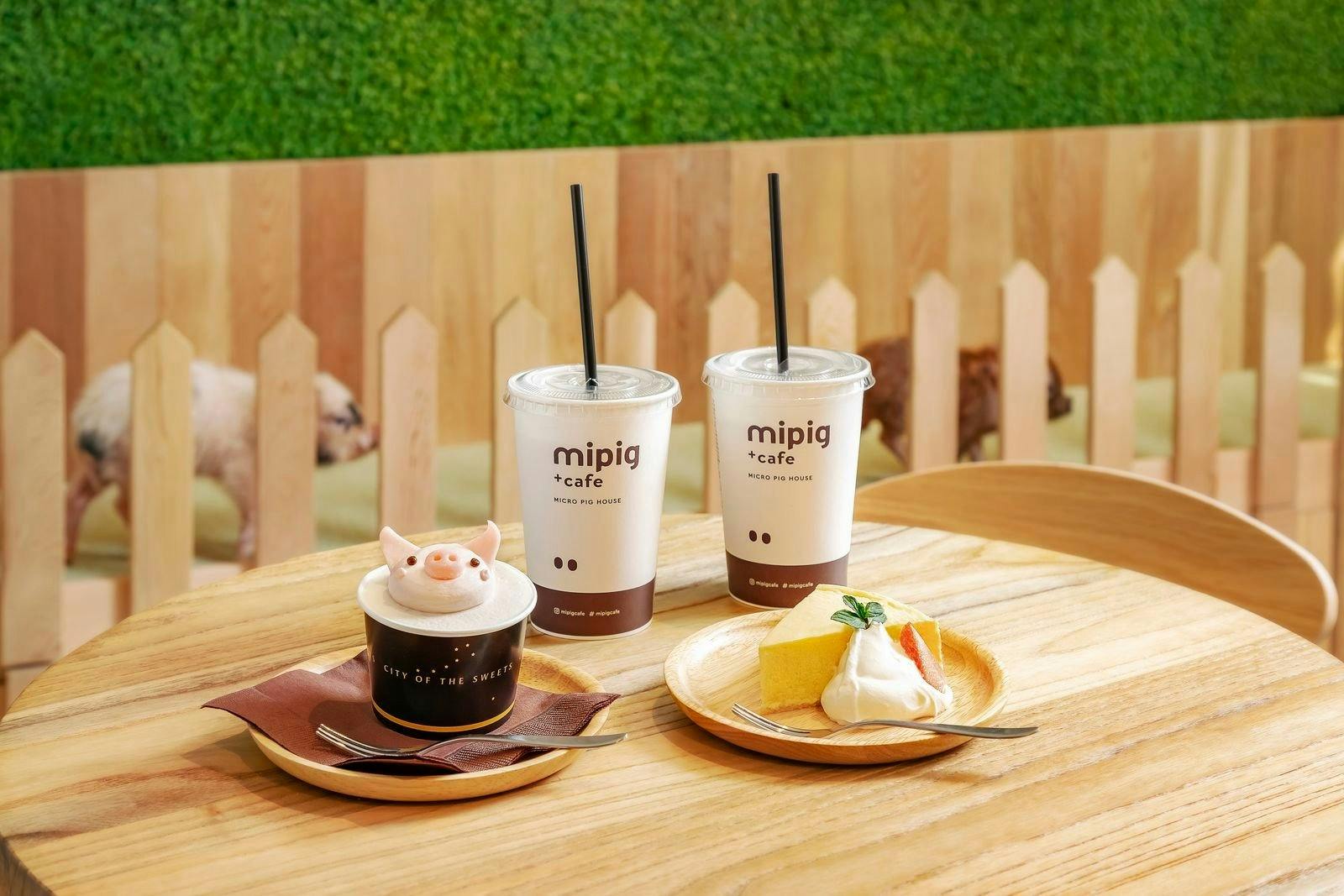Micro Pig Cafe in Ikebukuro Price