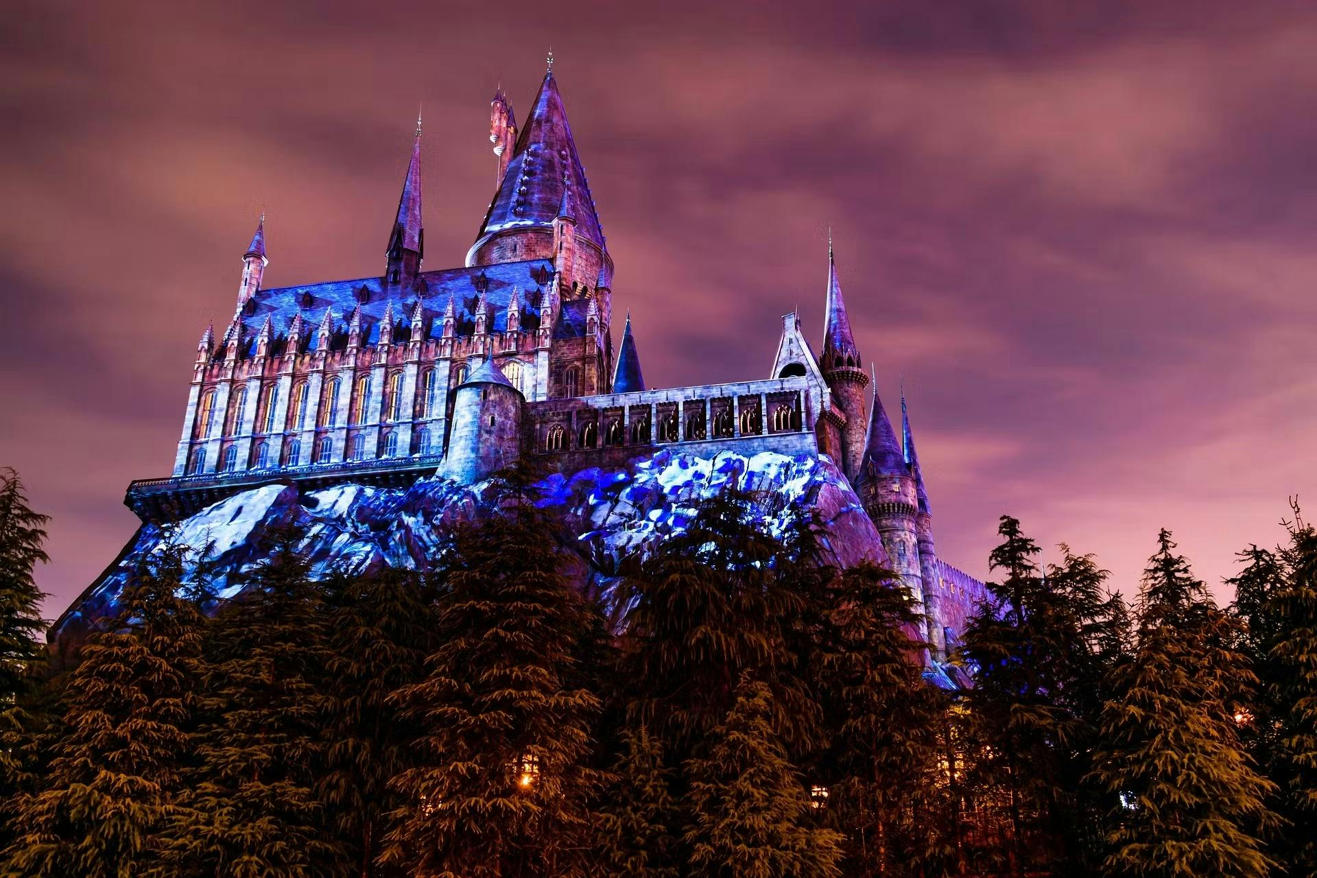 The Wizarding World of Harry Potter Ticket Ticket