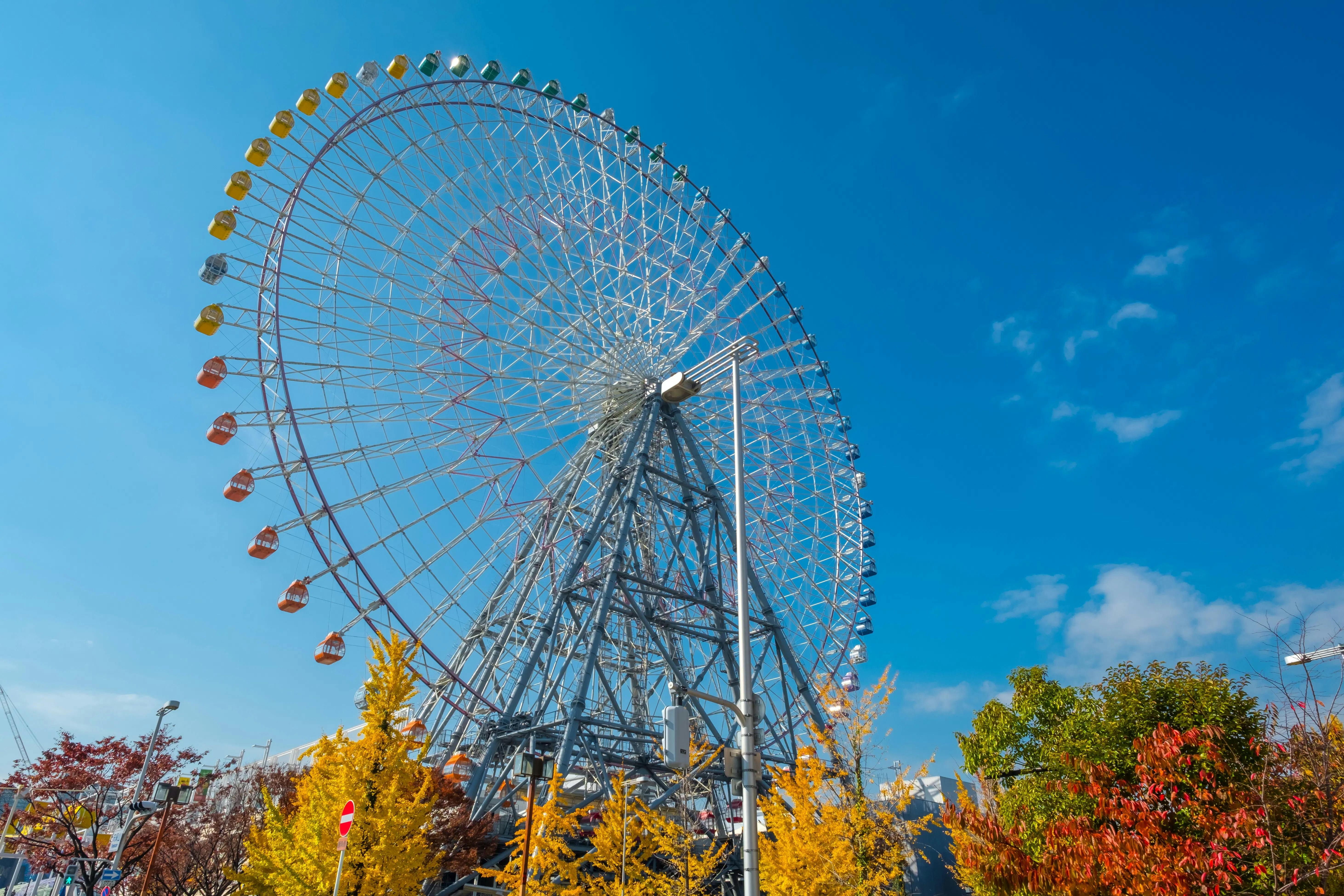 Tempozan Ferris Wheel Ticket