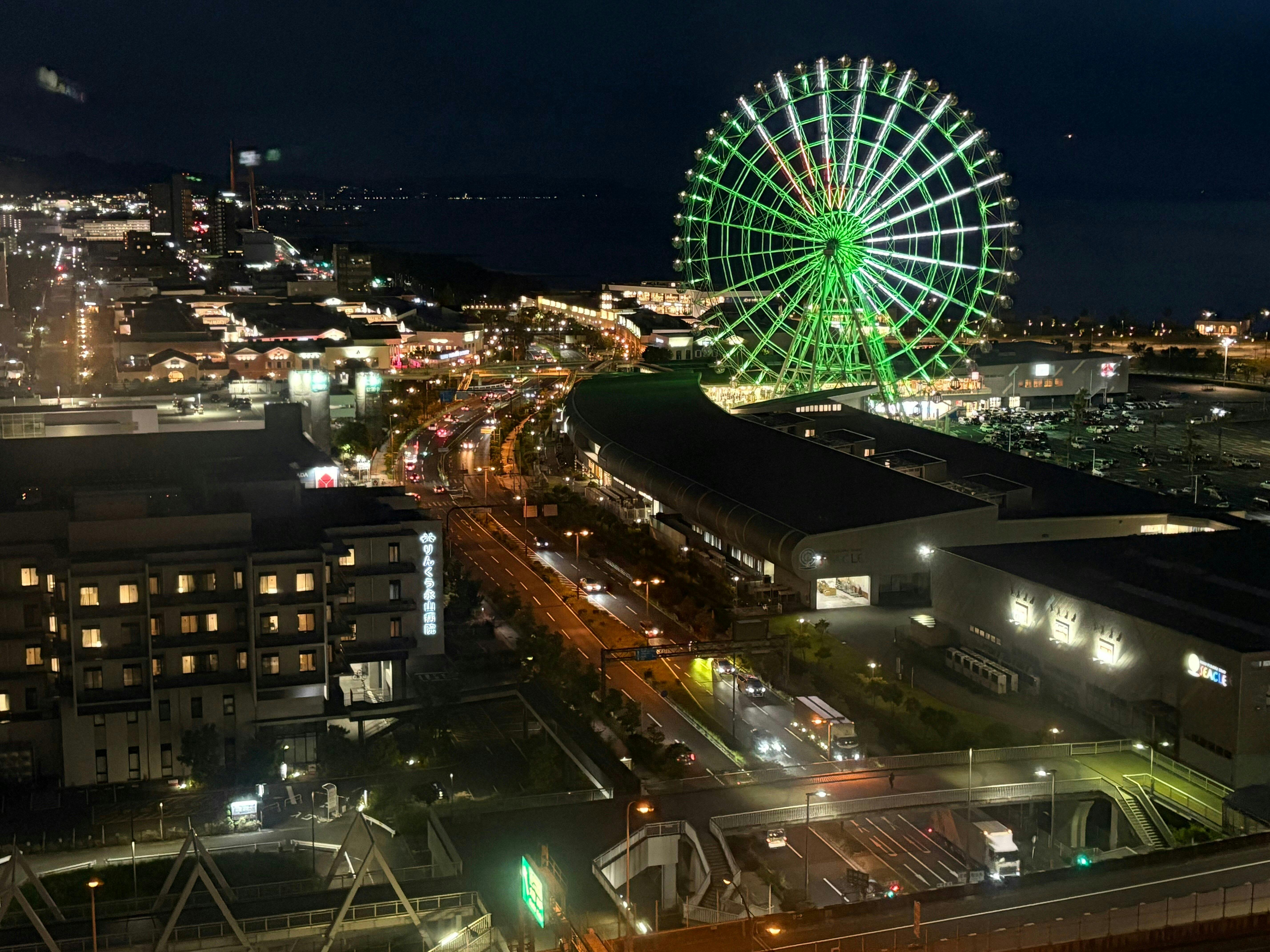 Tempozan Ferris Wheel Ticket Category
