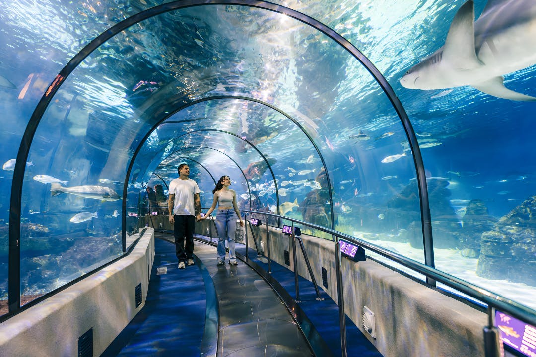 Barcelona Aquarium Ticket