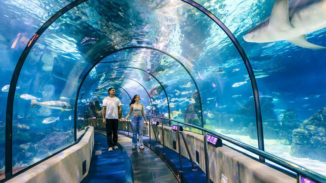 Barcelona Aquarium Ticket