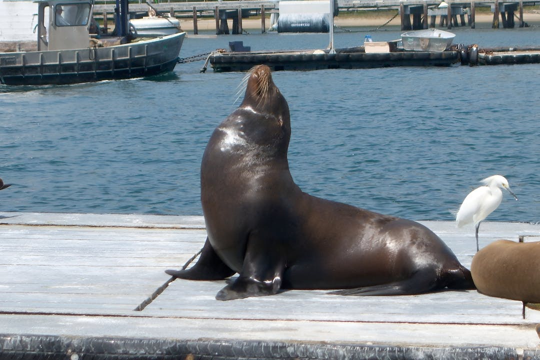 San Diego Harbour Cruise Ticket Location